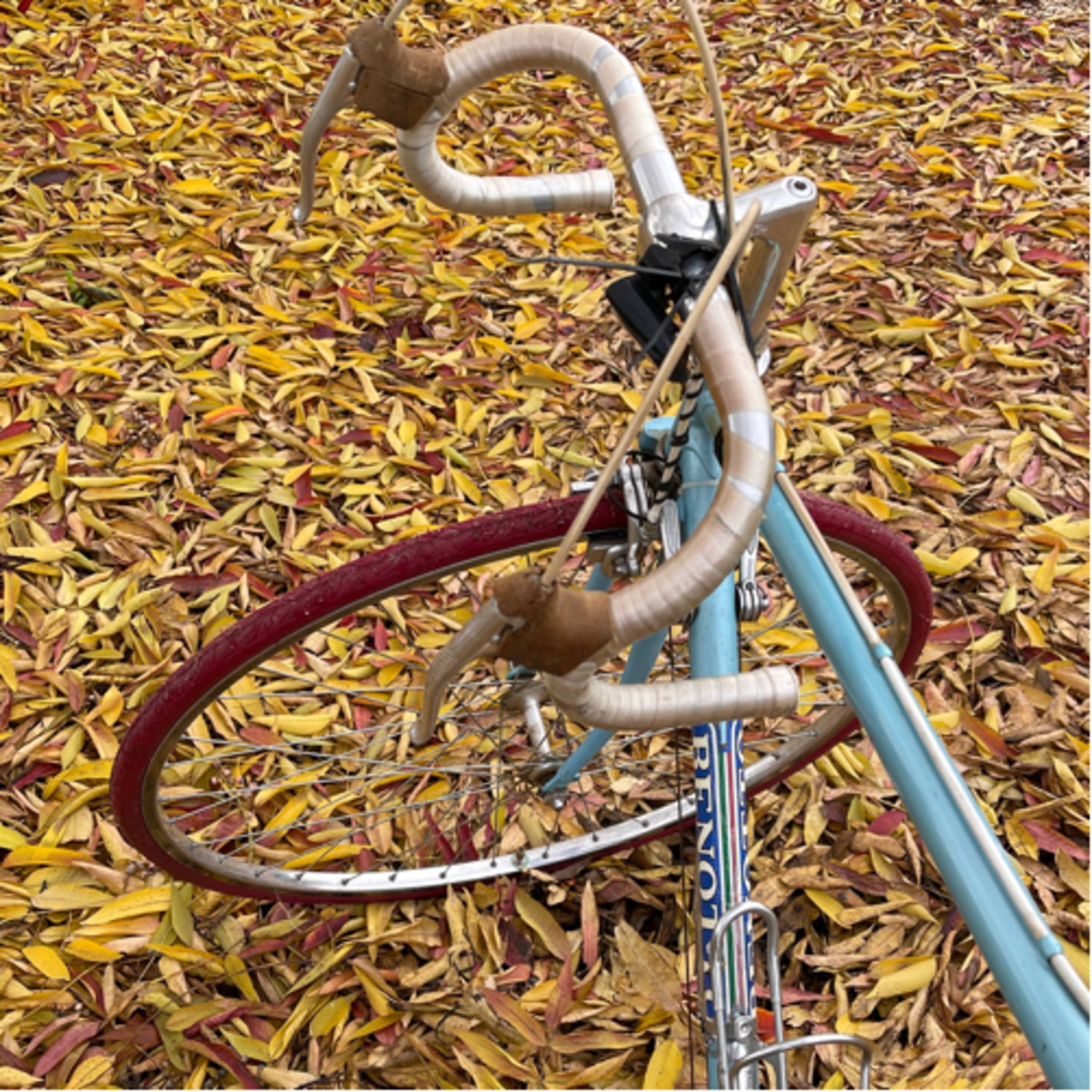 Bonus Episode NPR Style New Bicycle Bit Baby Blue Benotto East Mesa Arizona Greenpharms Recreational episode artwork