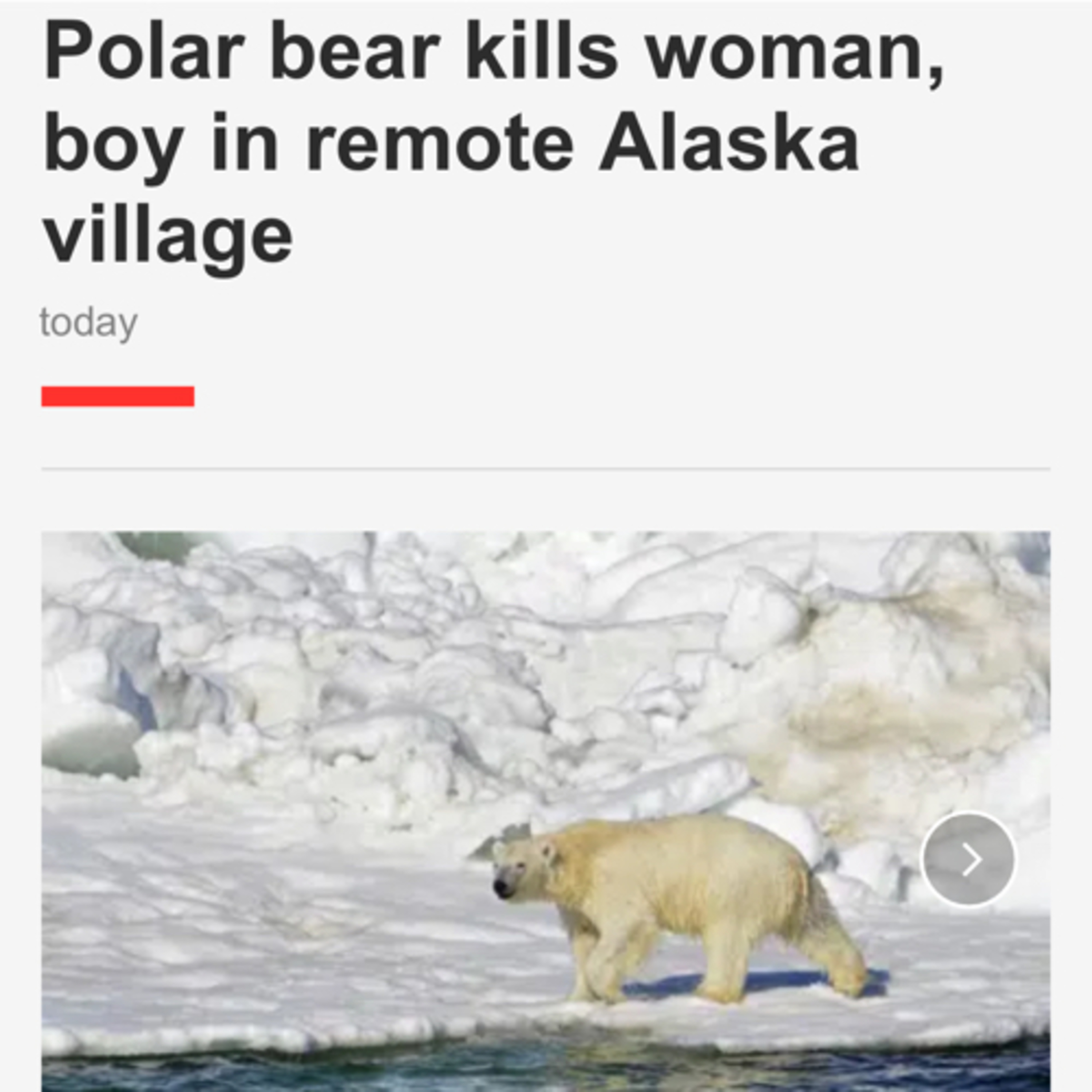 Powell Fed Chair COVID Renner Home Bald Eagle Eggs Lake Tahoe Brian Walshe Alaska Polar Bear Attack episode artwork
