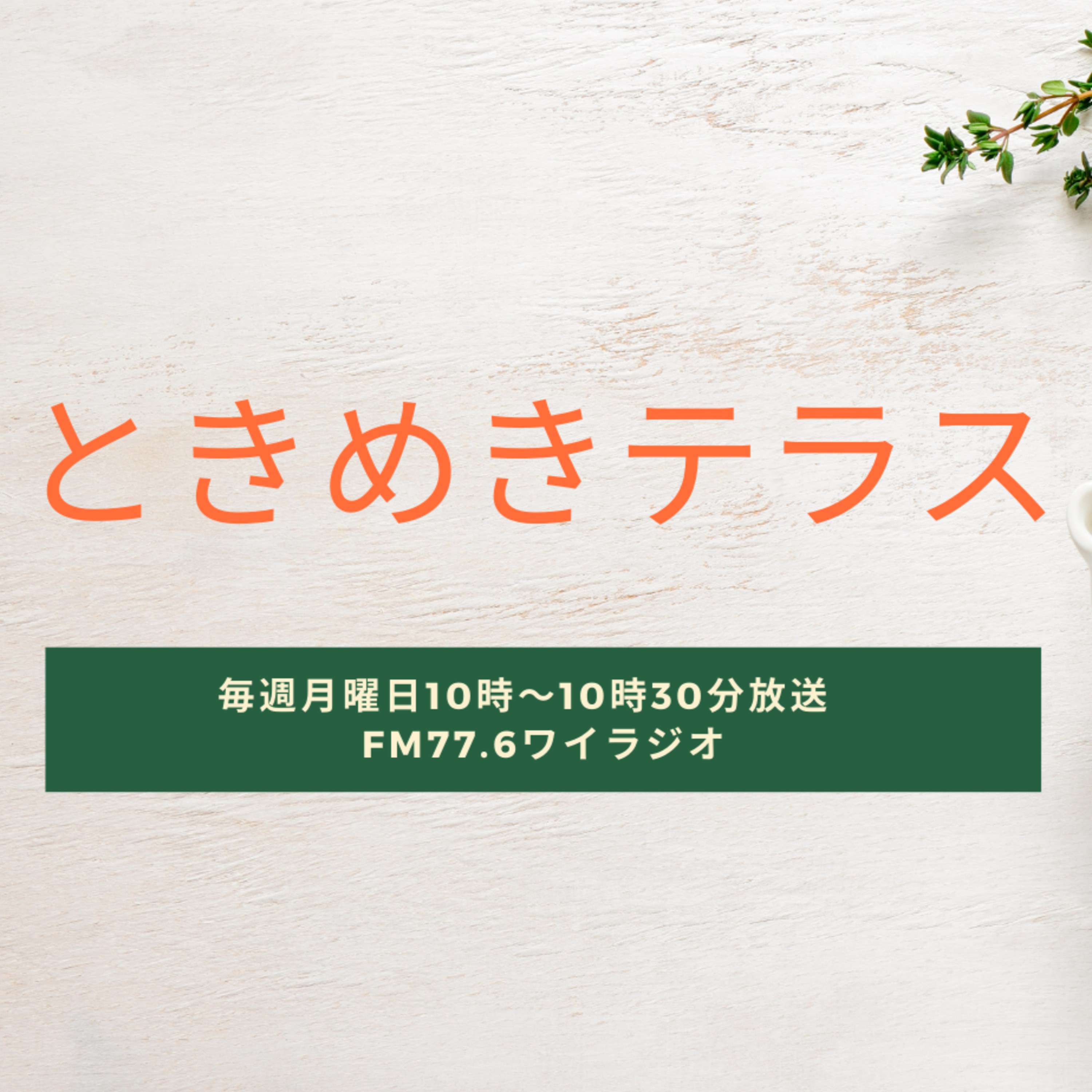第22回ときめきテラス episode artwork