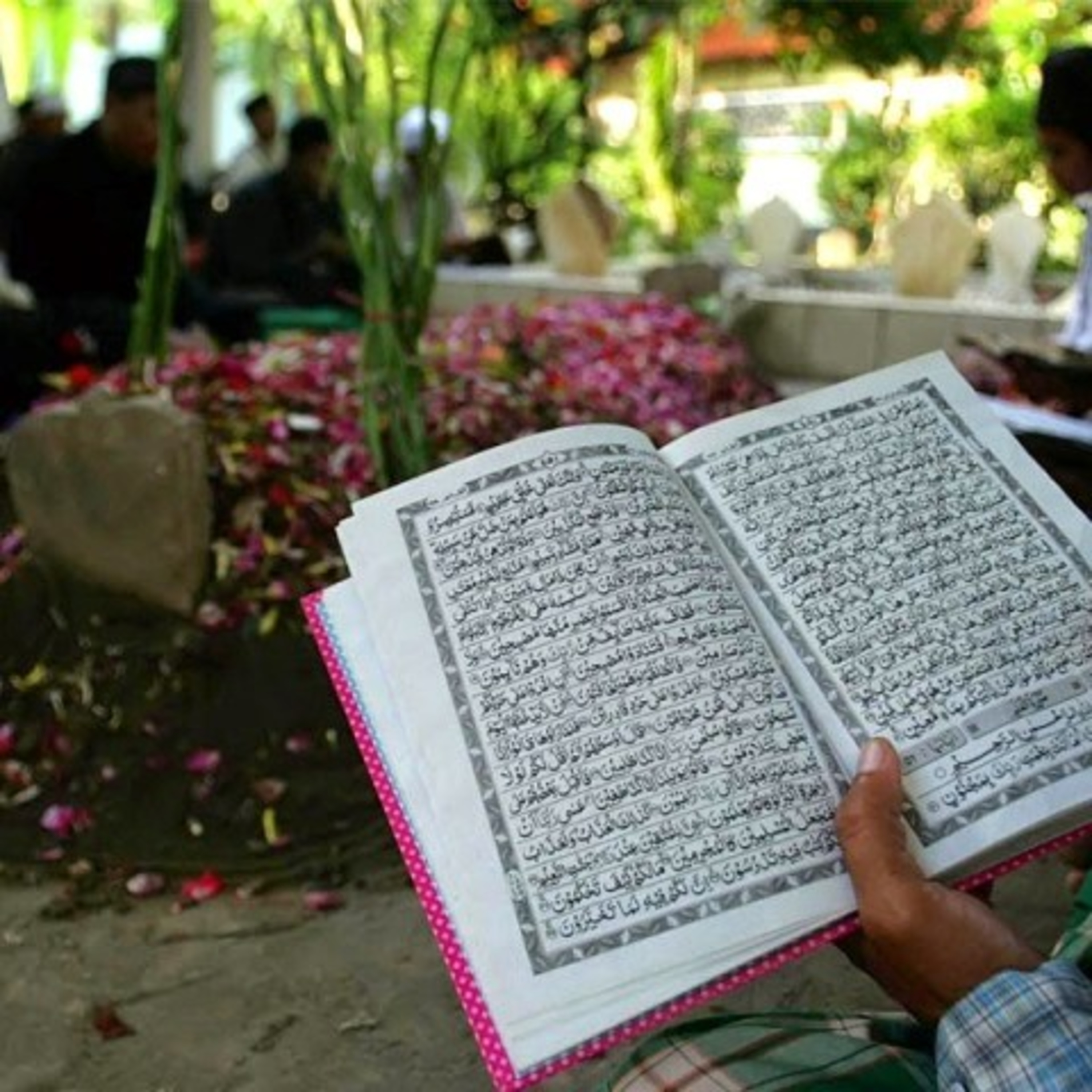 Maya Rohmah