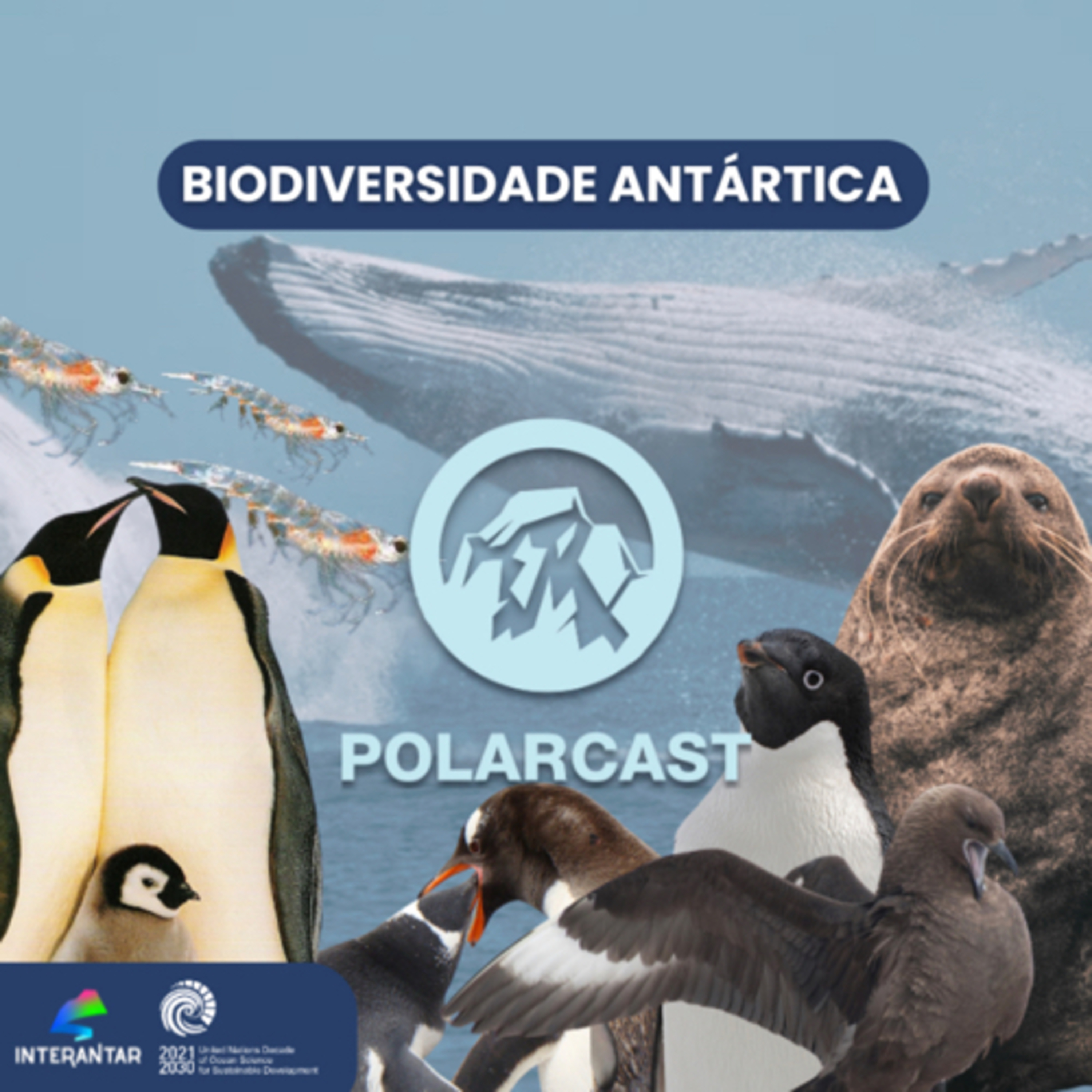 Polarcast - O Grau Zero da Ciência Polar