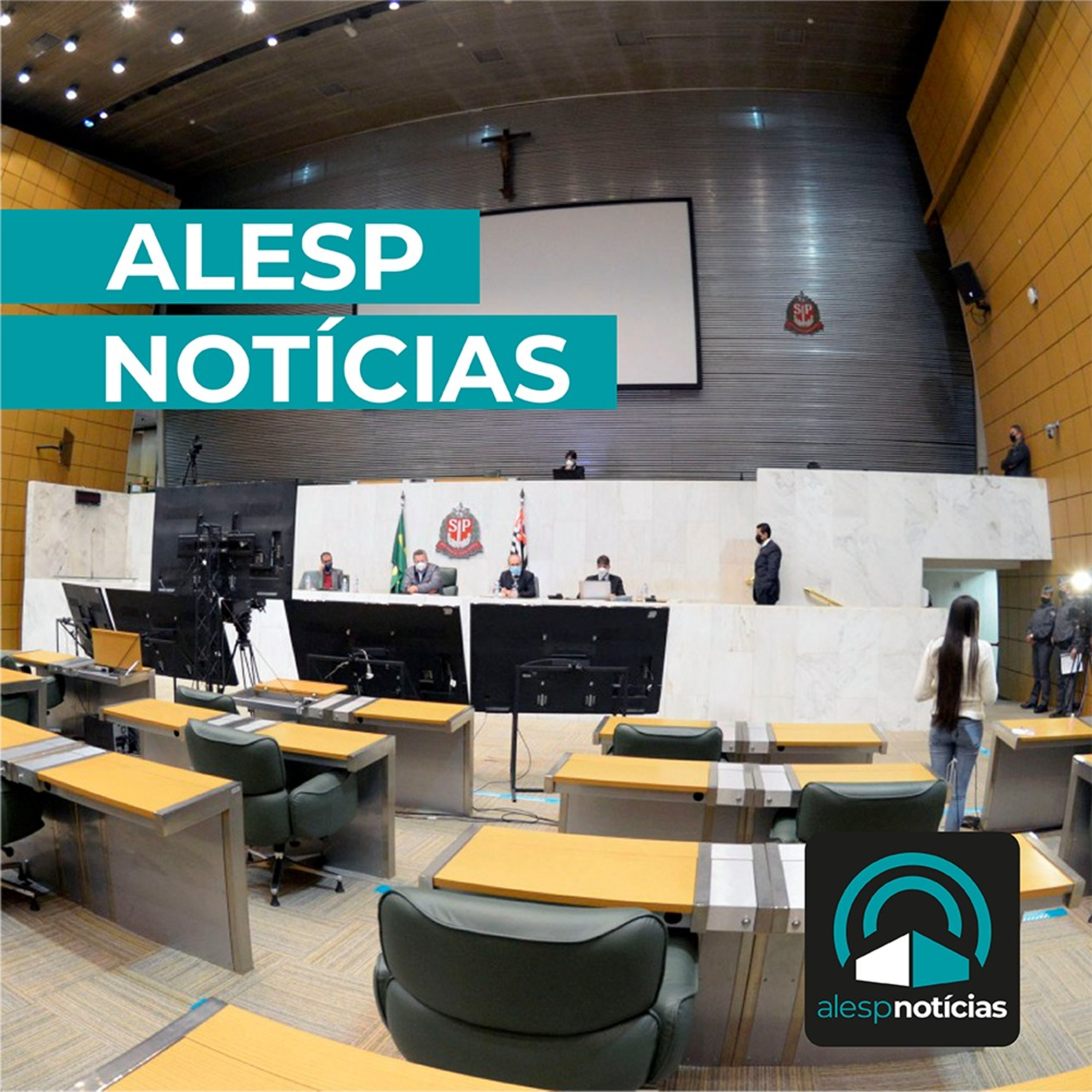 Ep. 08 - Alesp Notícias 30/06/2021 episode artwork