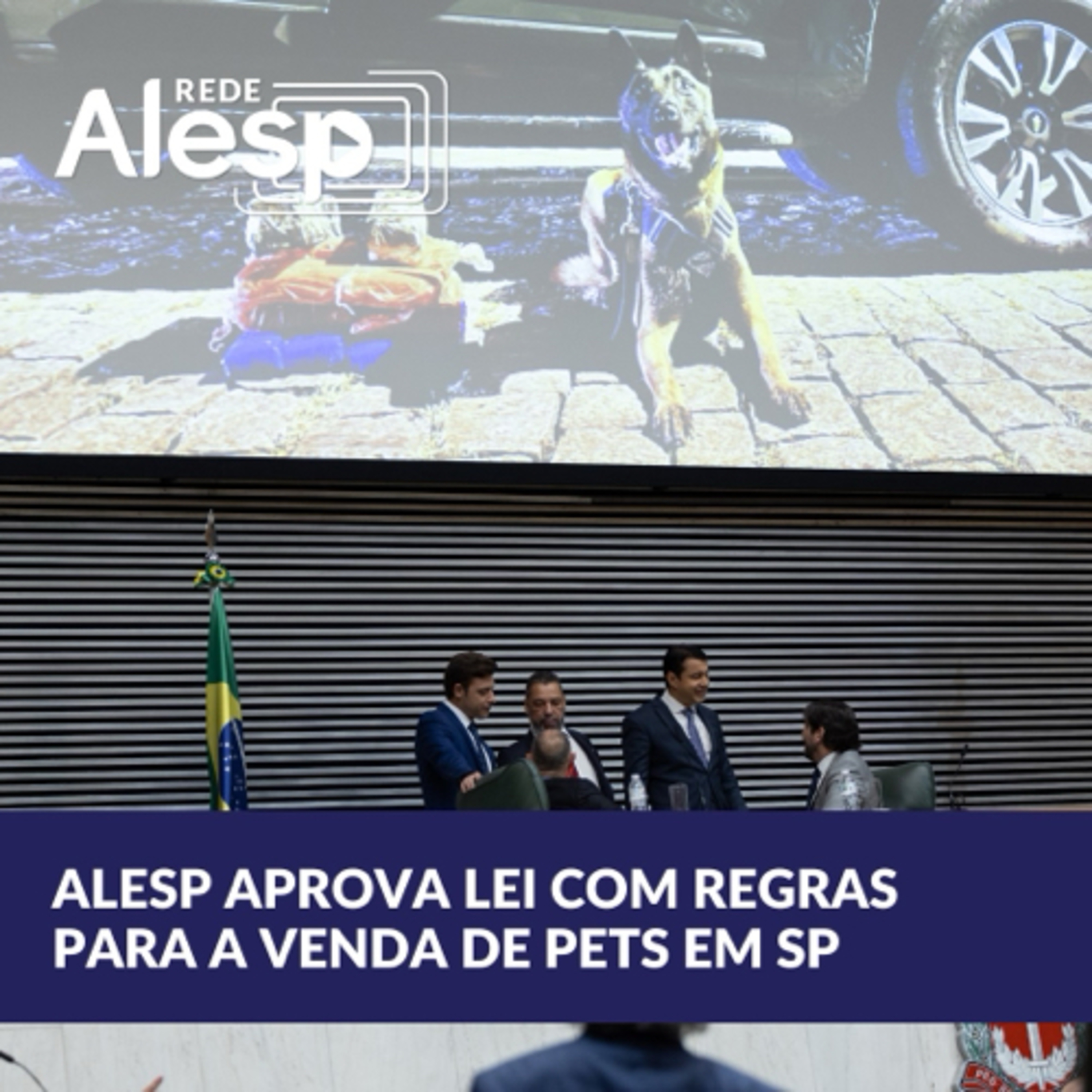 Alesp avança em regulamentação da venda de pets em São Paulo  episode artwork