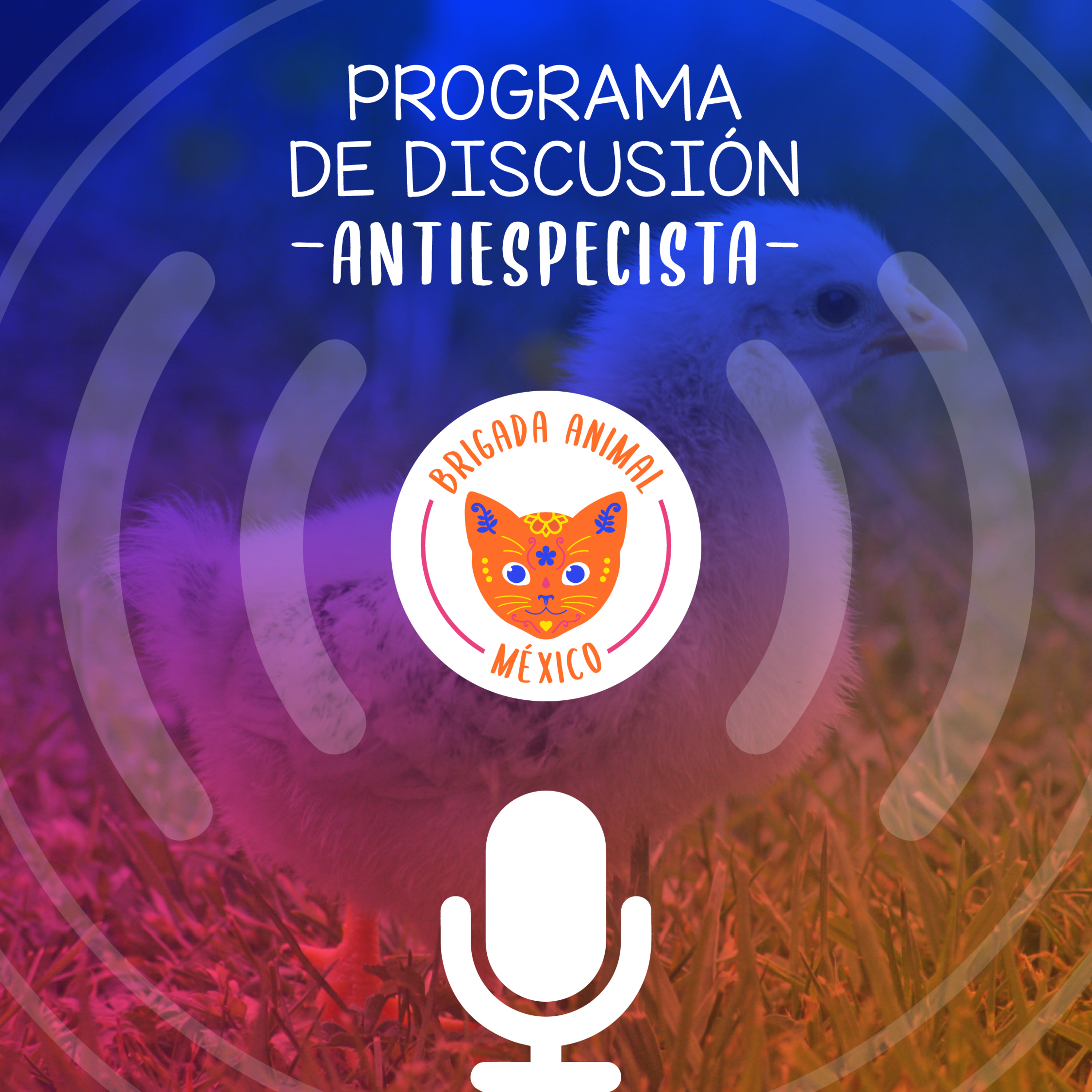 Brigada Animal México
