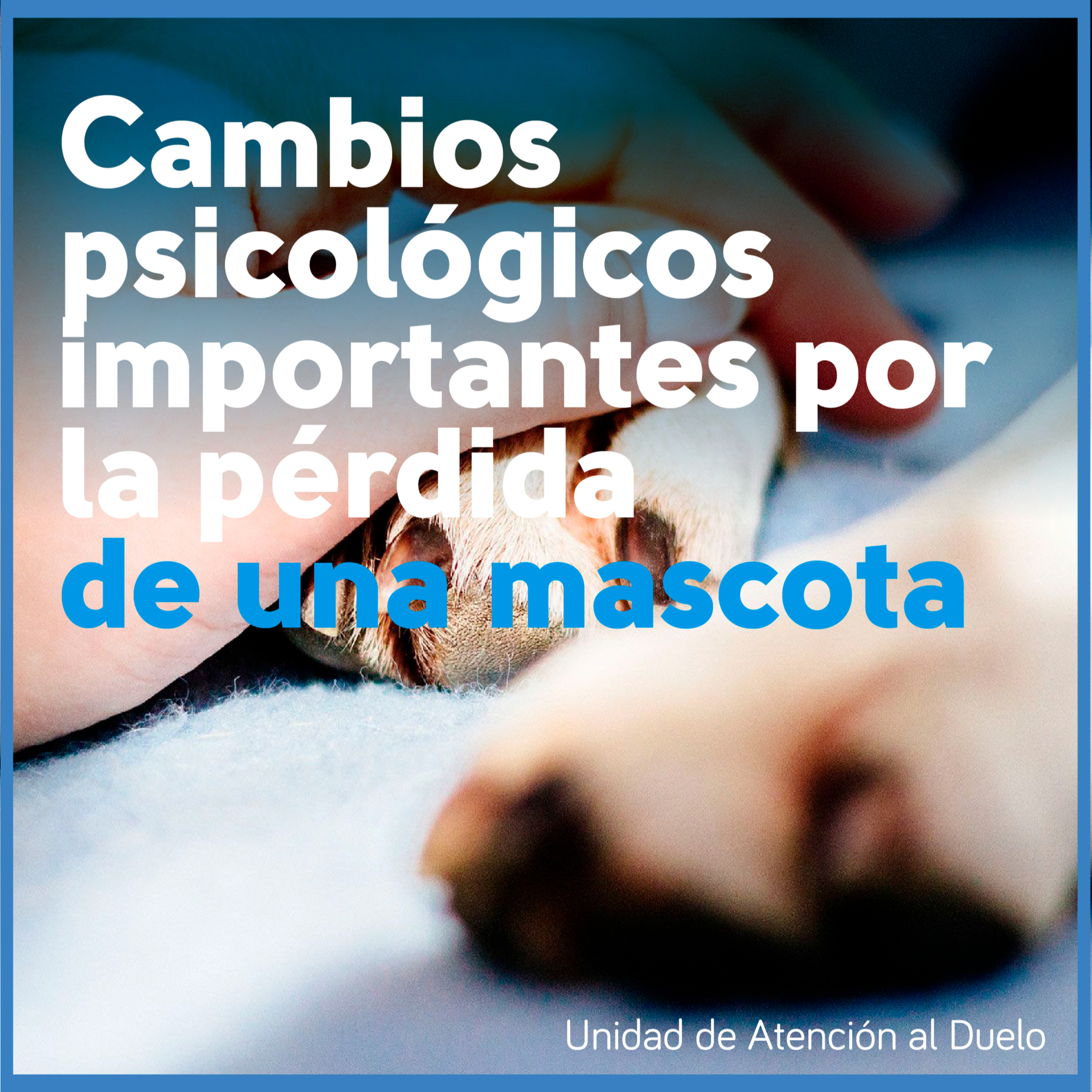 Unidad de Atención al Duelo