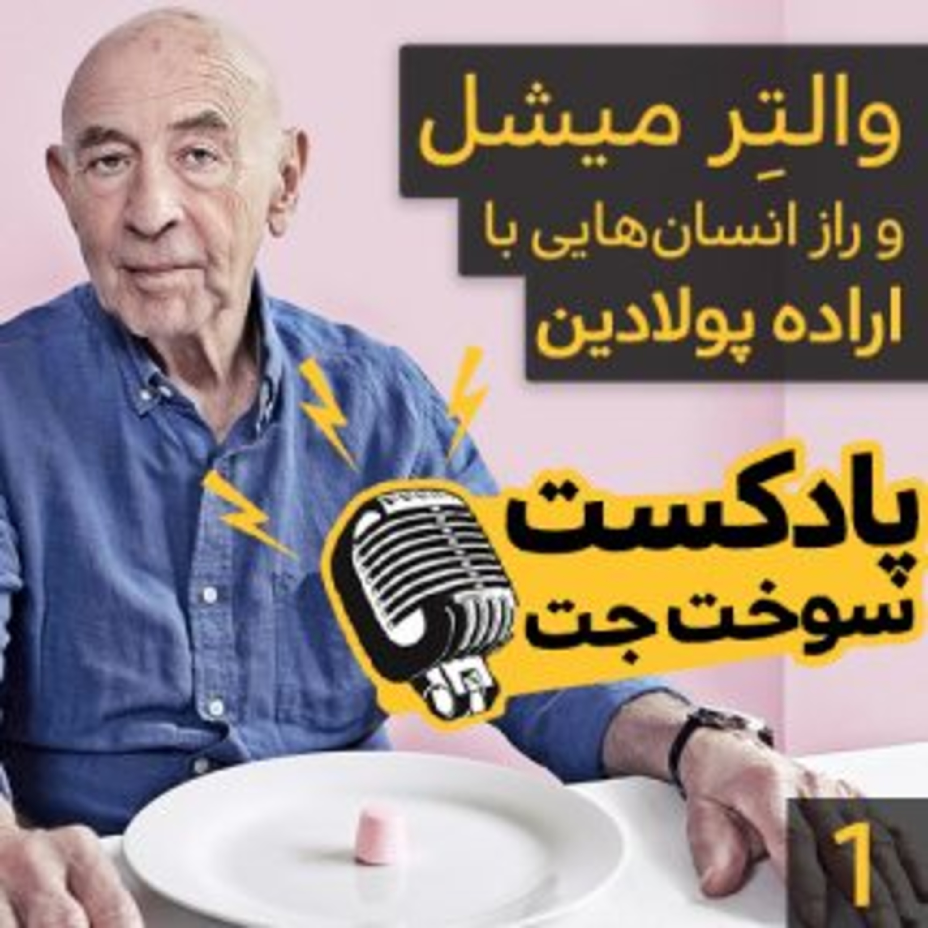 کاور والتر میشل و راز انسان هایی با اراده پولادین