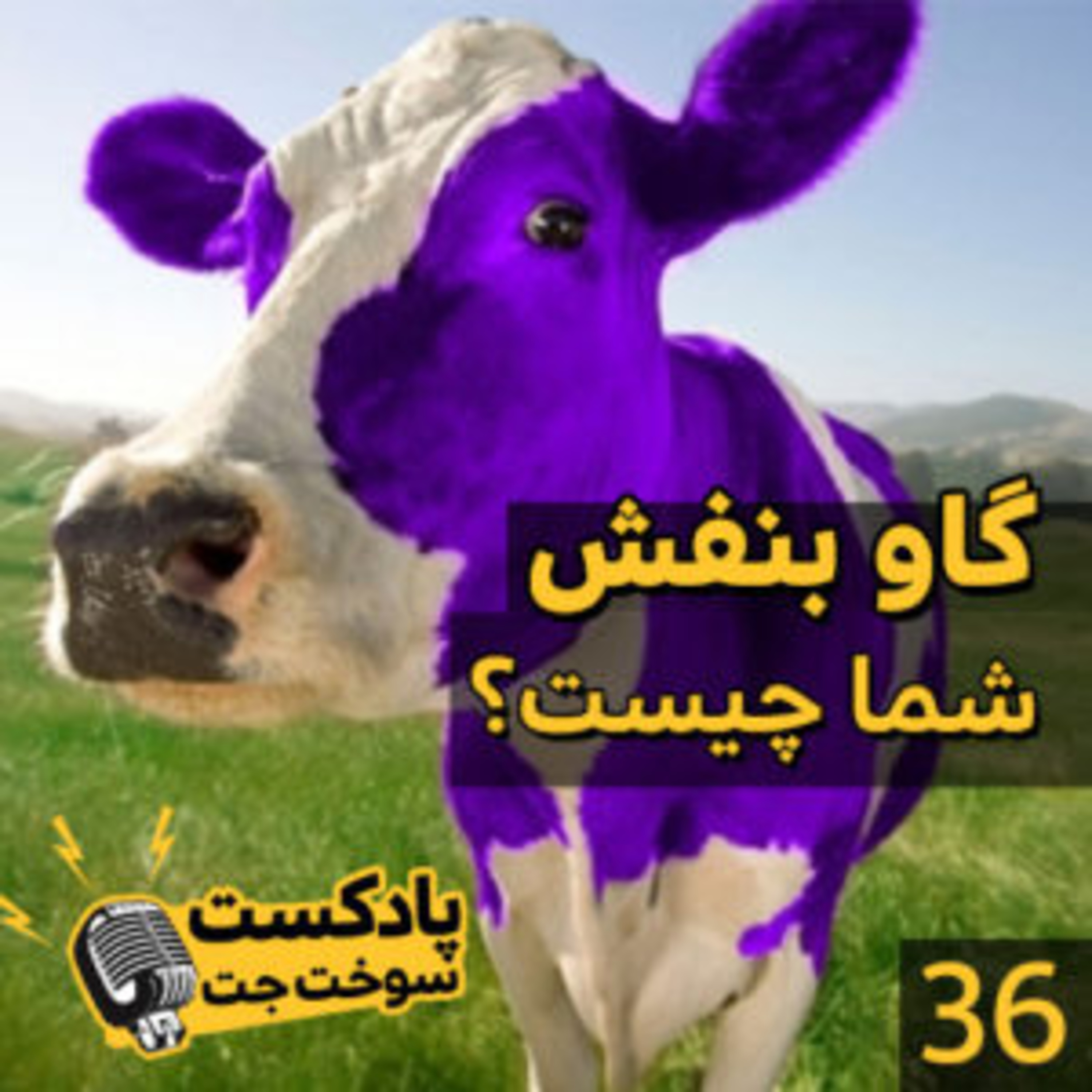 کاور گاو بنفش شما چیست