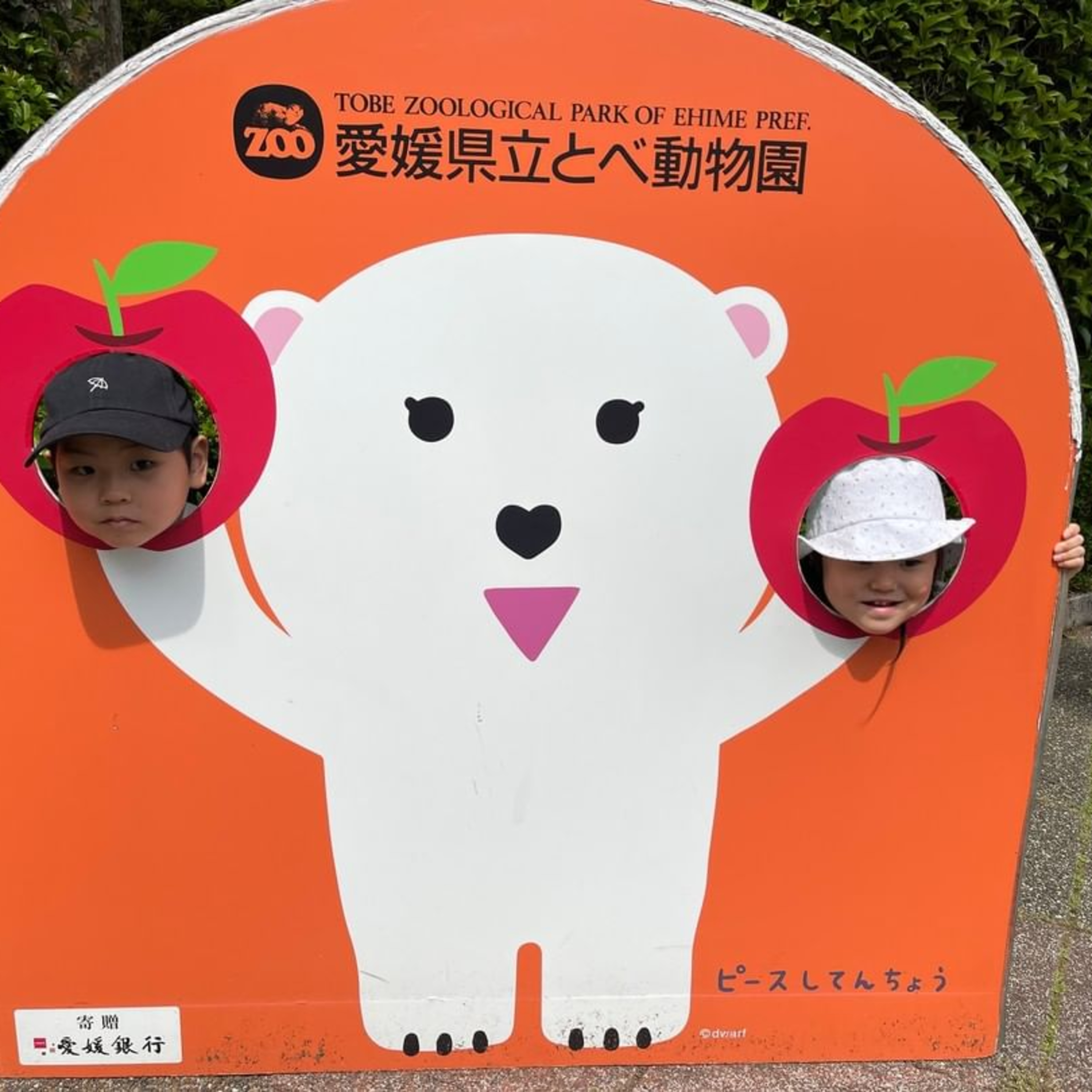 WordPressのカスタマイズを独学する方法 episode artwork
