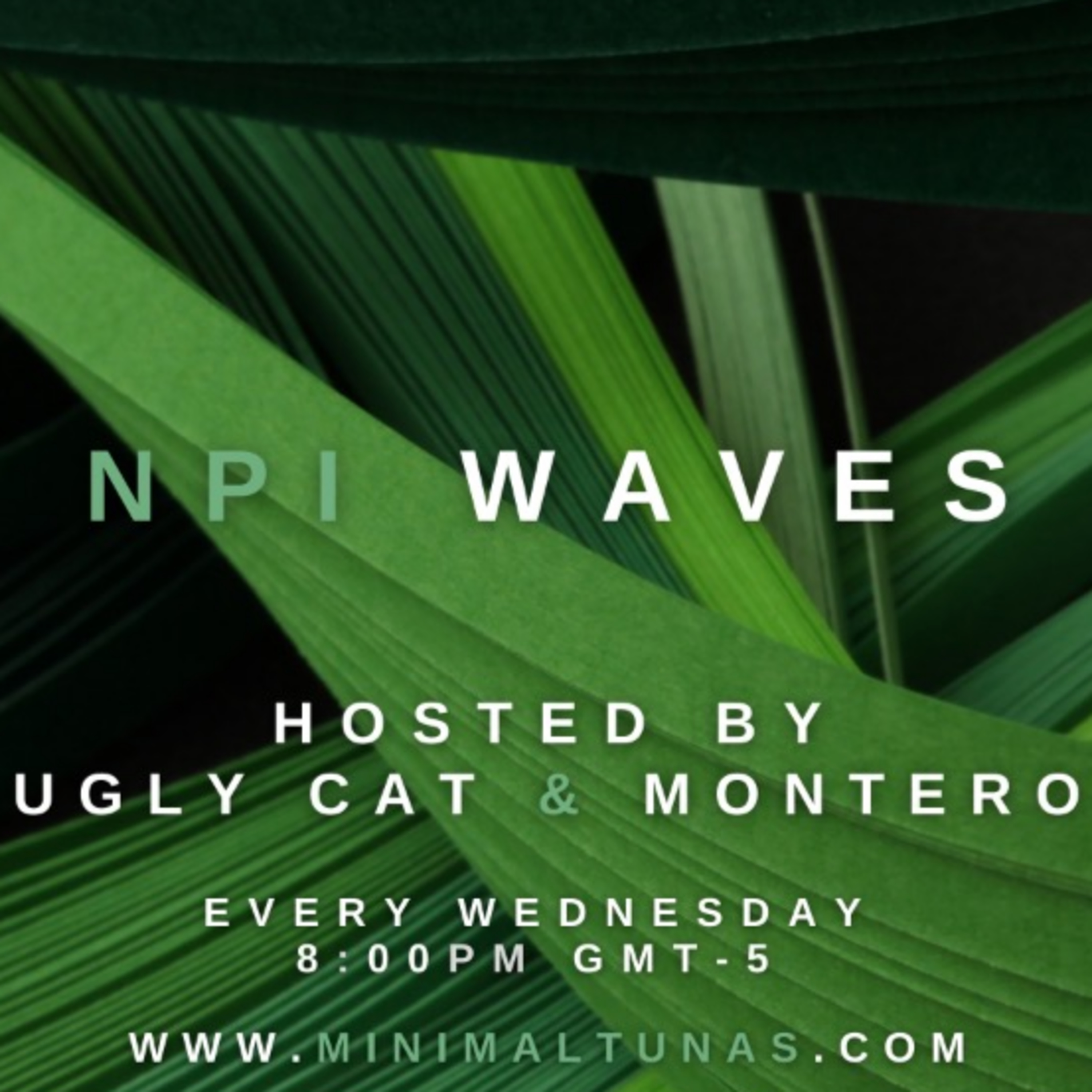 Waves NPI