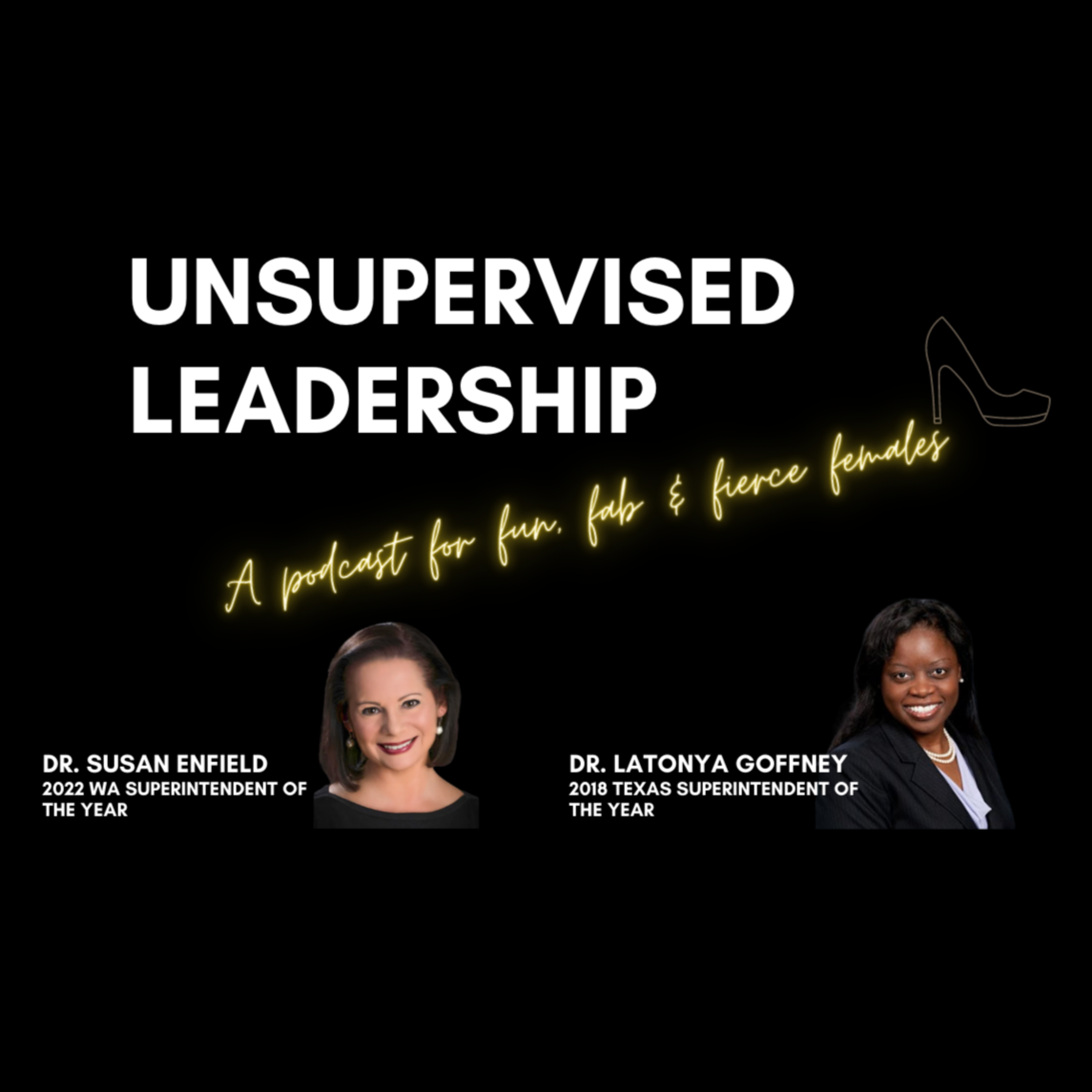 Mean Girls...Don't Be One! Our Interview with Dr. Susan Enfield and Dr. LaTonya Goffney episode artwork