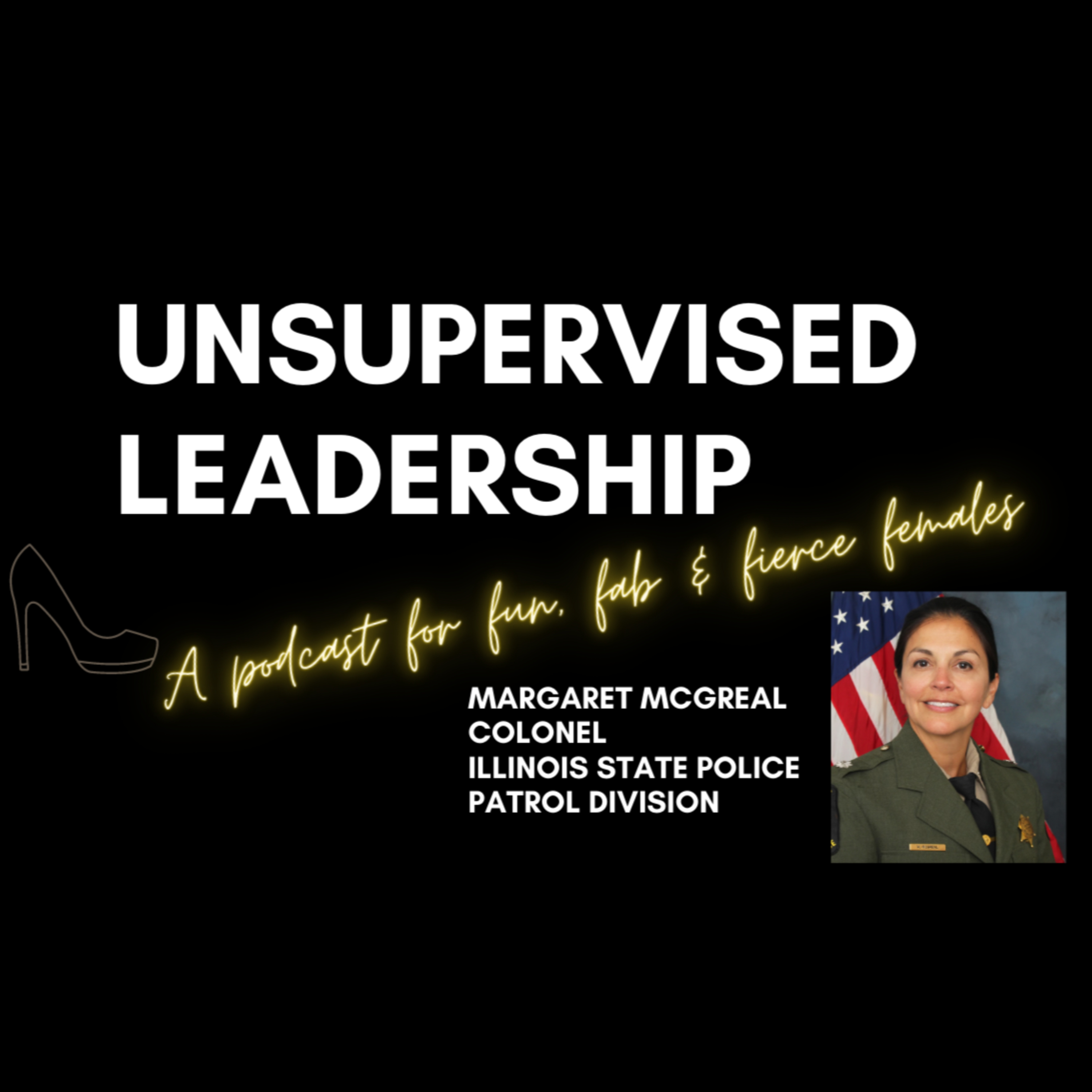 Season 3 in 2023: Colonel Margaret McGreal from the IL State Police episode artwork