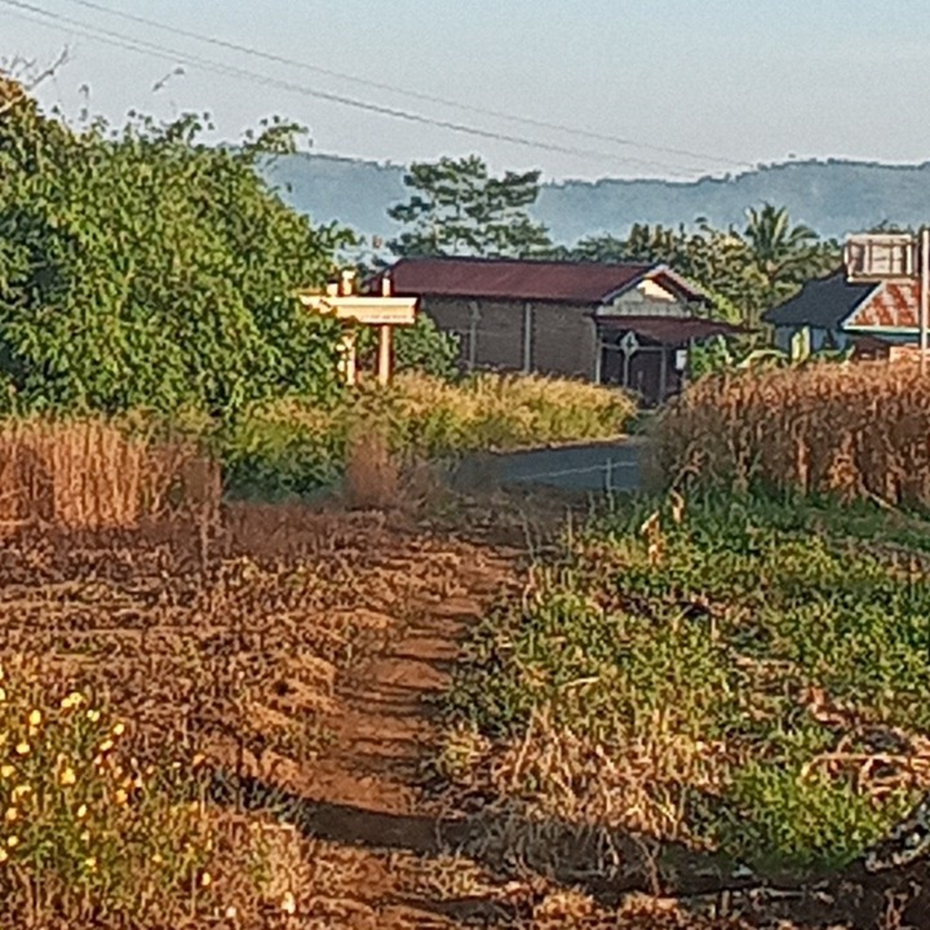 Sahabat Mayang