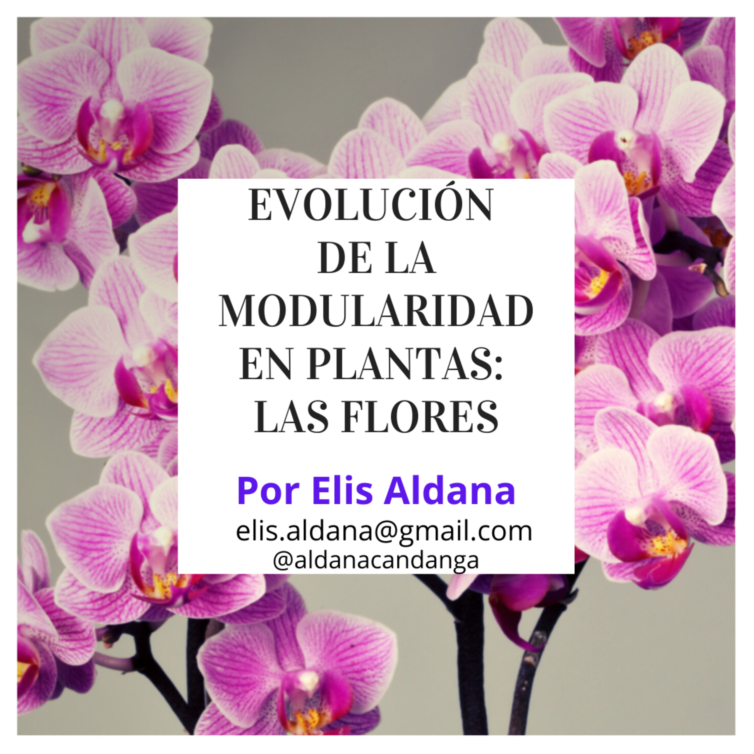 Ideas y Conceptos de Biología Evolutiva