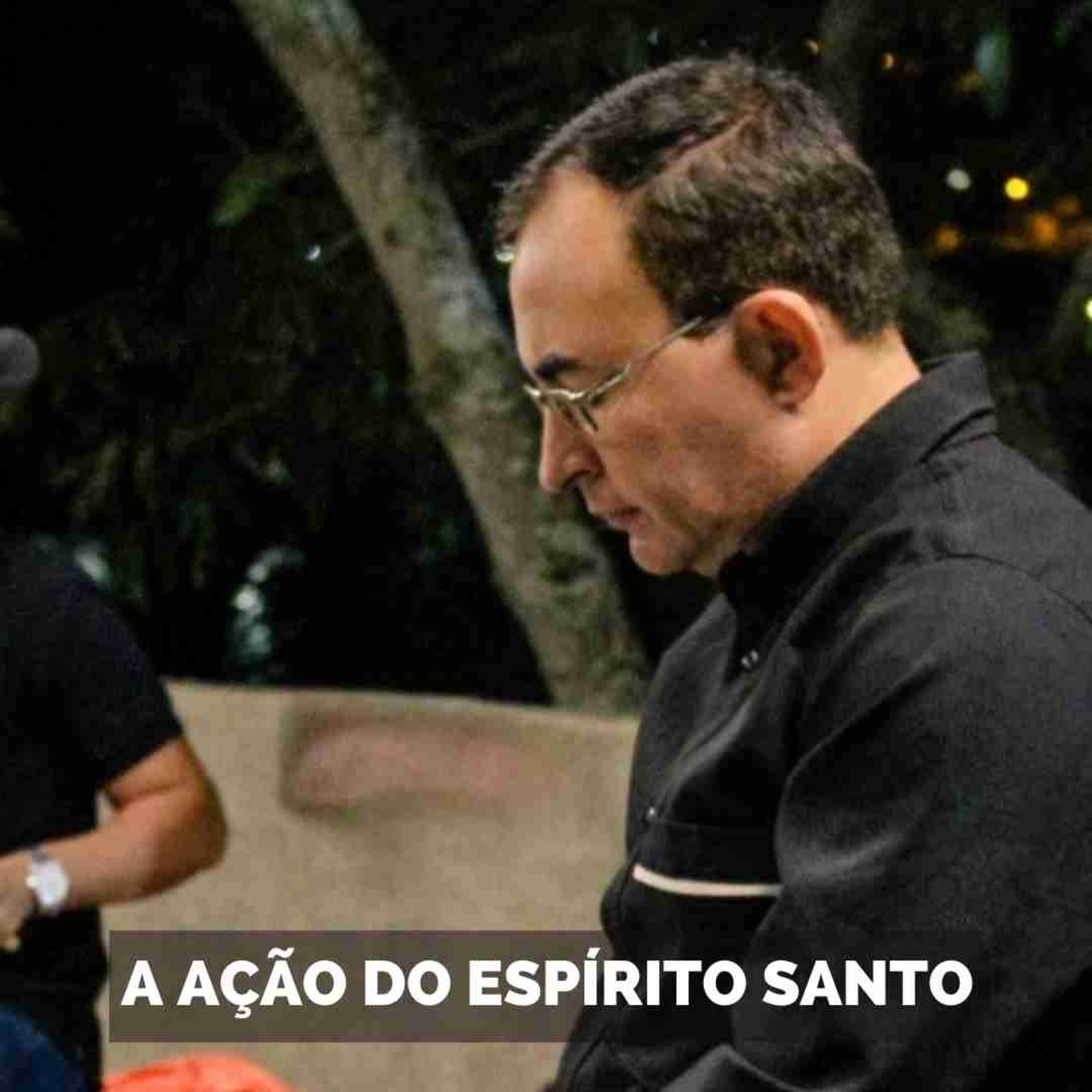 A ação do Espírito Santo - Ir. Estanislau