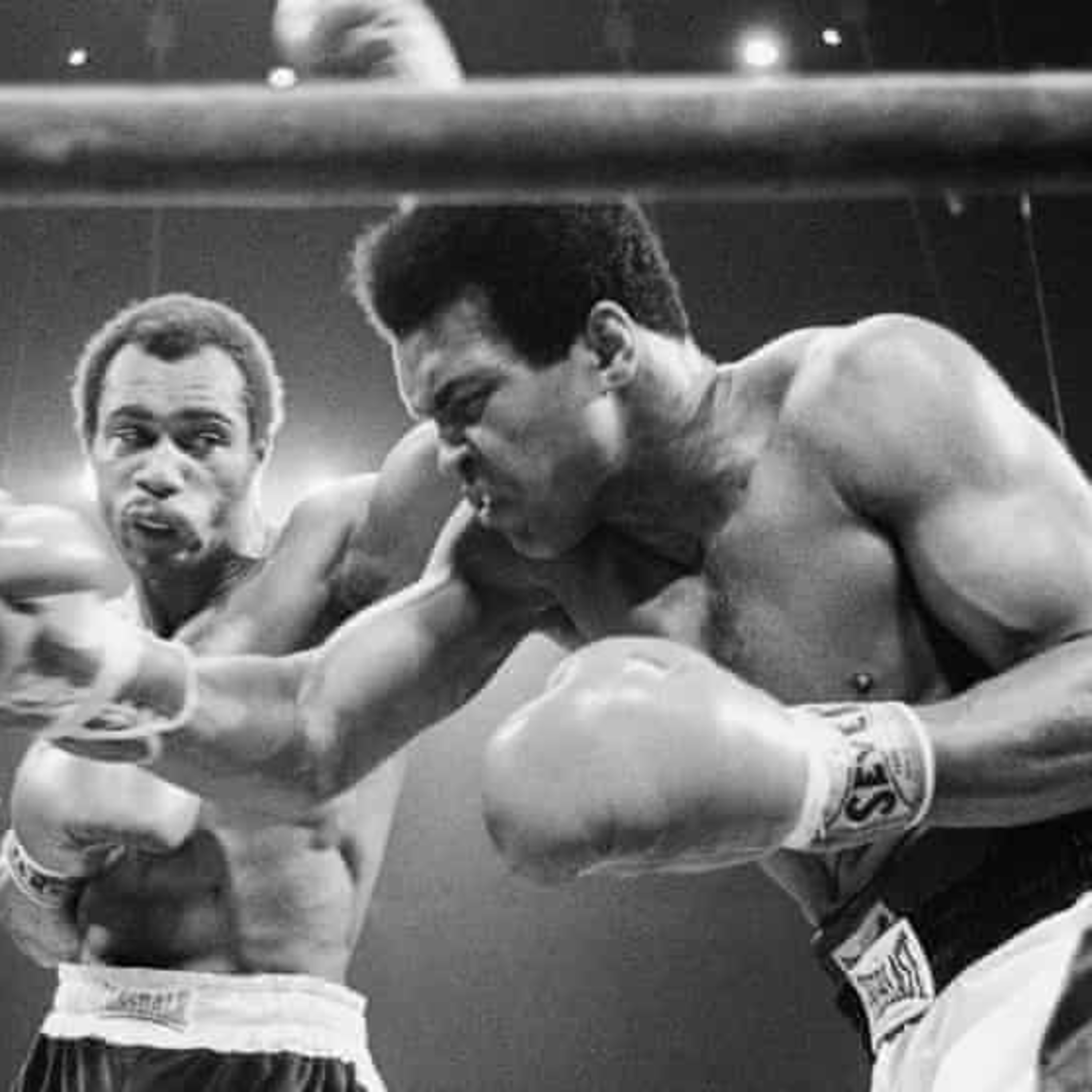 The Boxing World with Raneile