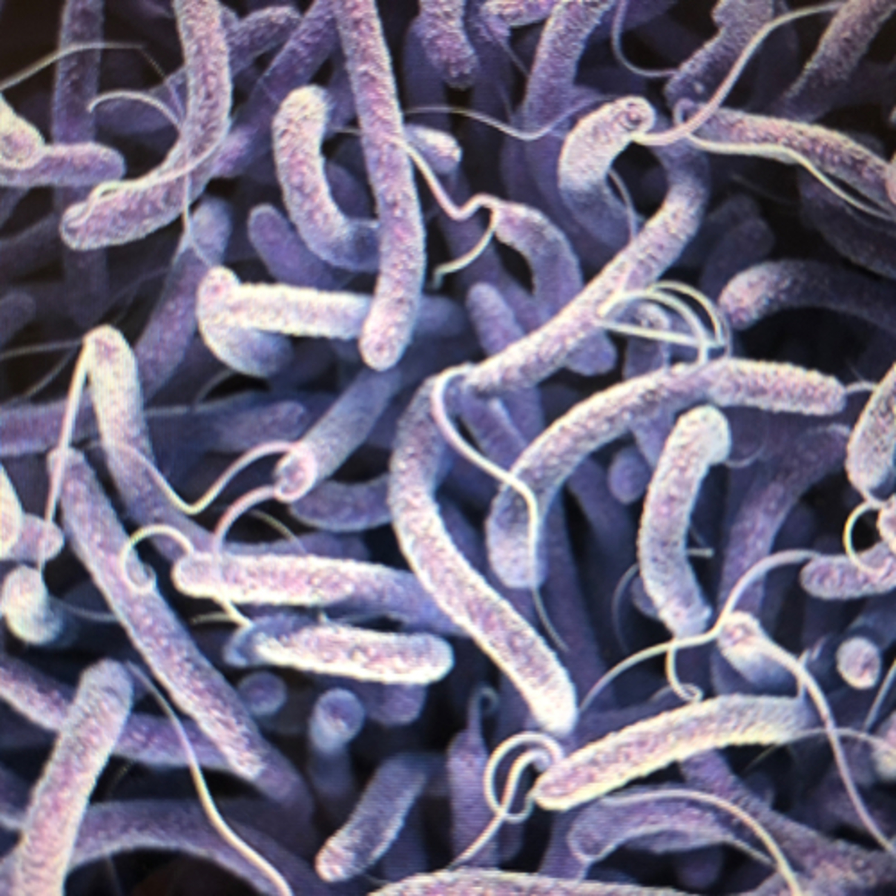 ANTIBIOTIC RESISTANCE