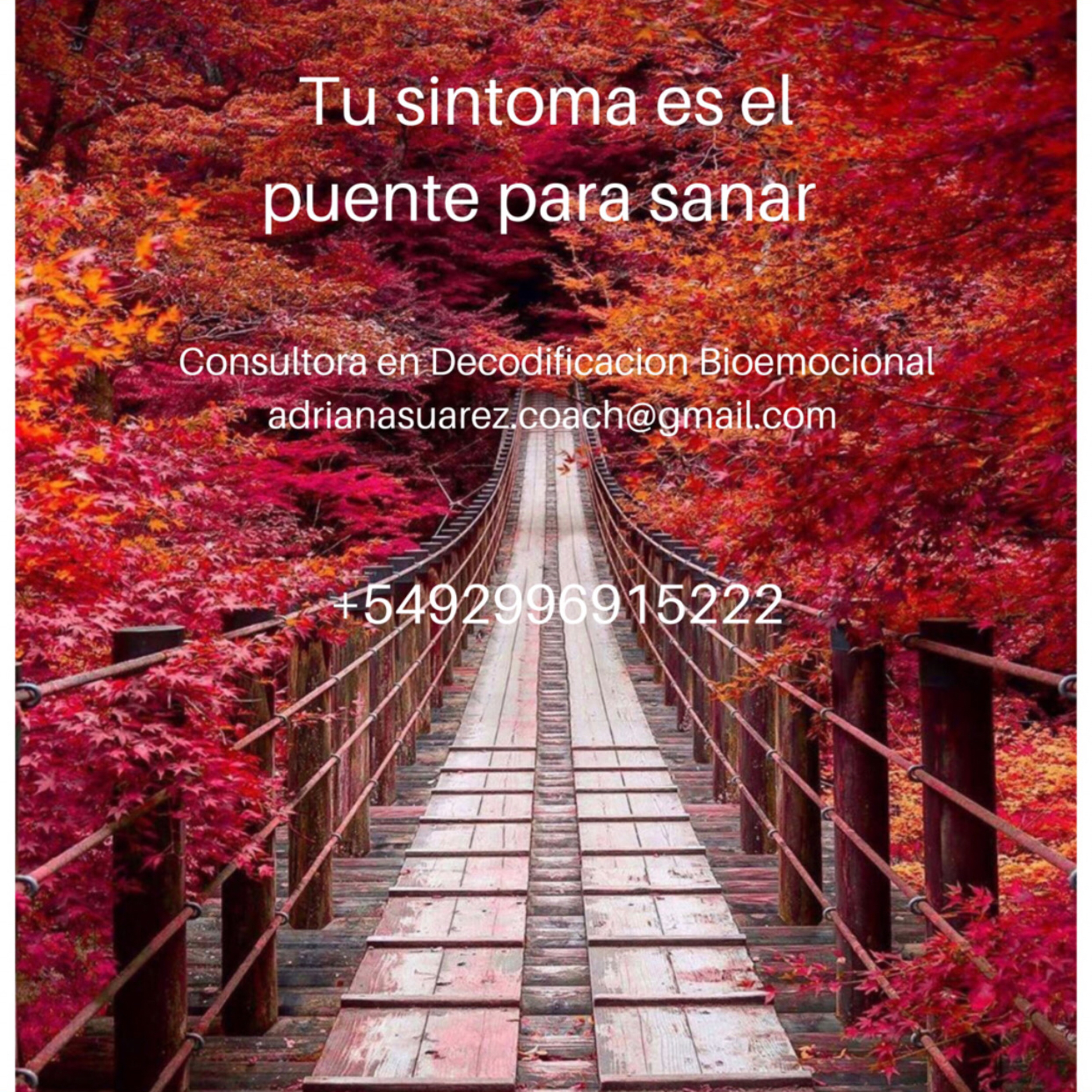 Reflexiones