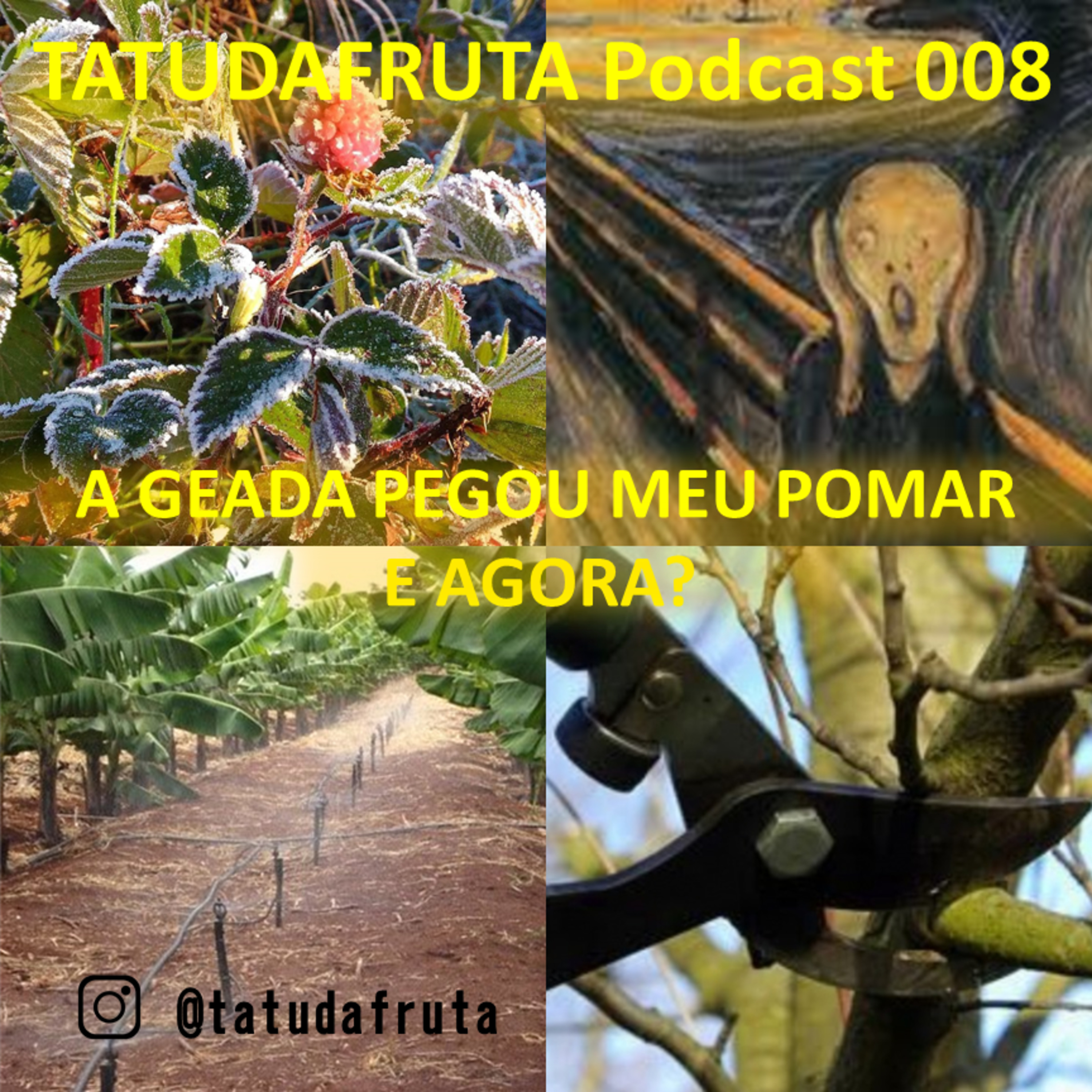 TATUDAFRUTA PODCAST