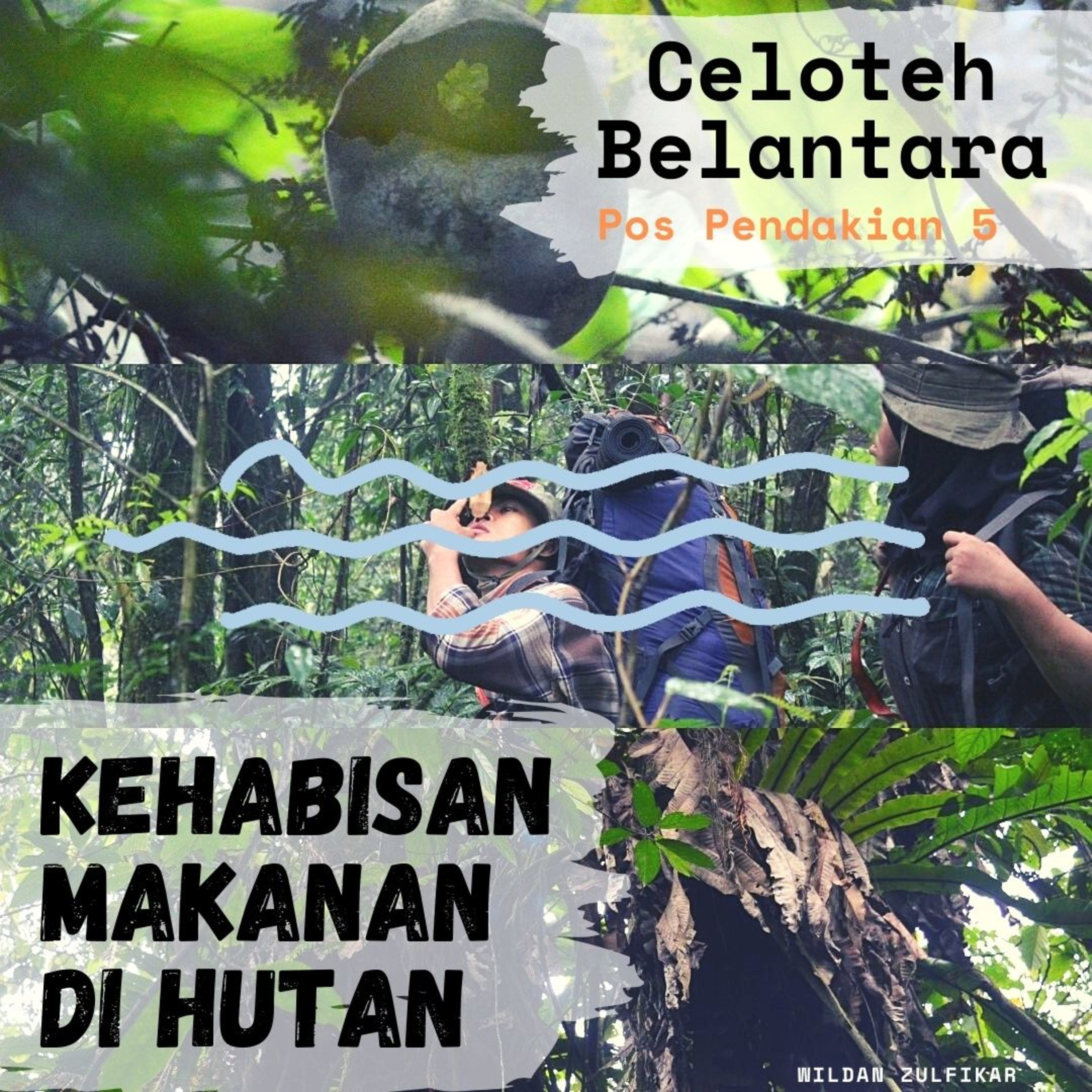 Celoteh Belantara