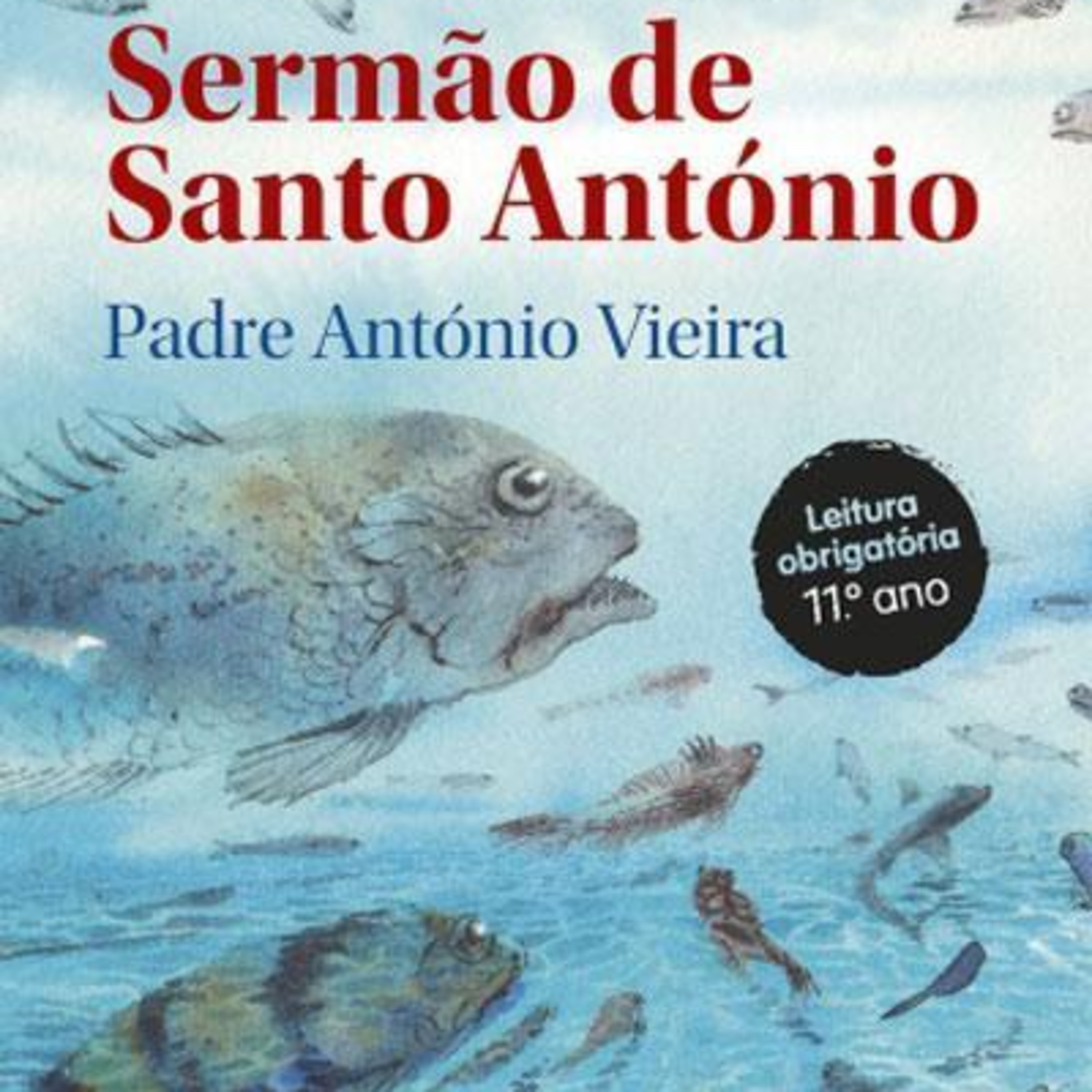 Biblioteca_AEVNB