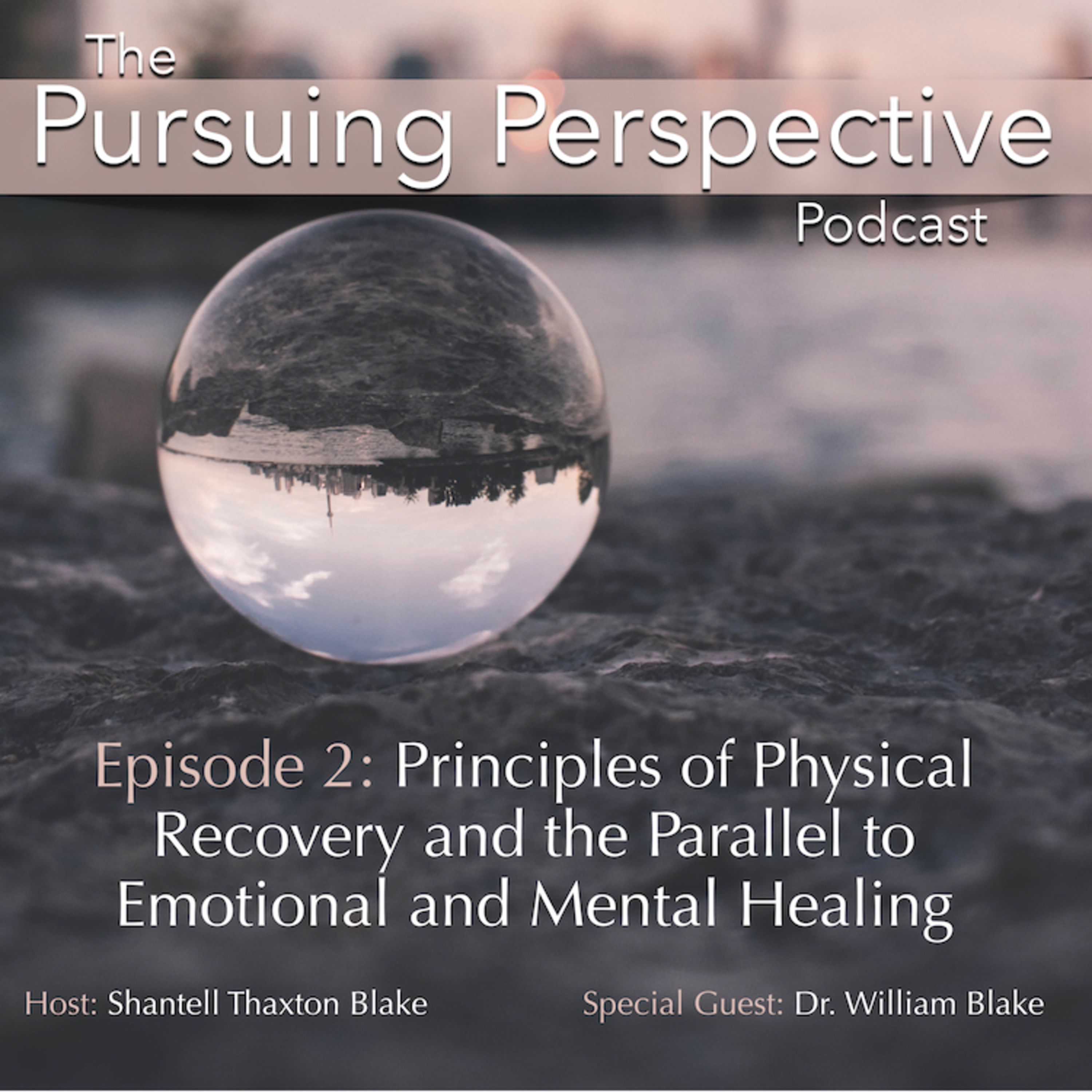 The Pursuing Perspective Podcast