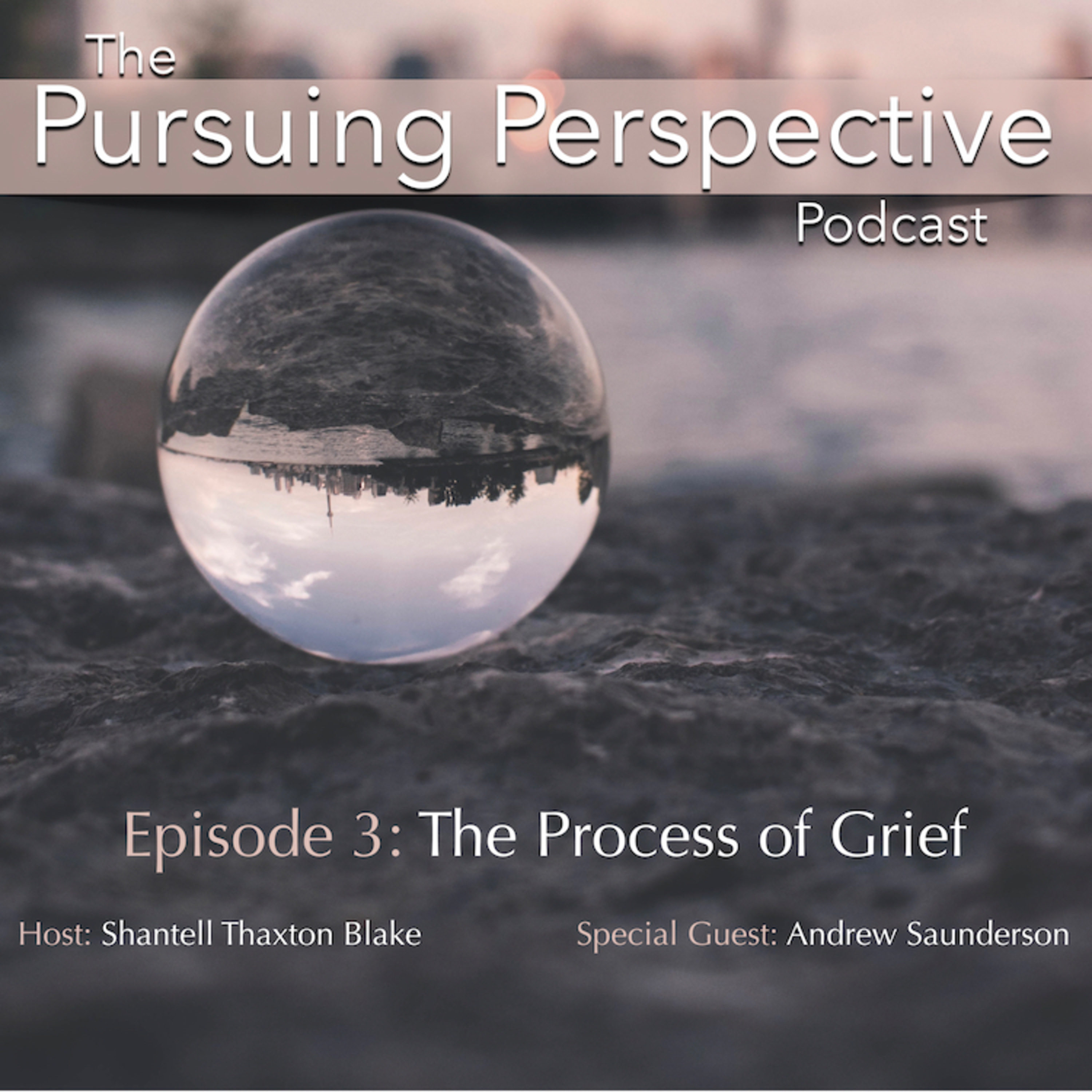 The Pursuing Perspective Podcast
