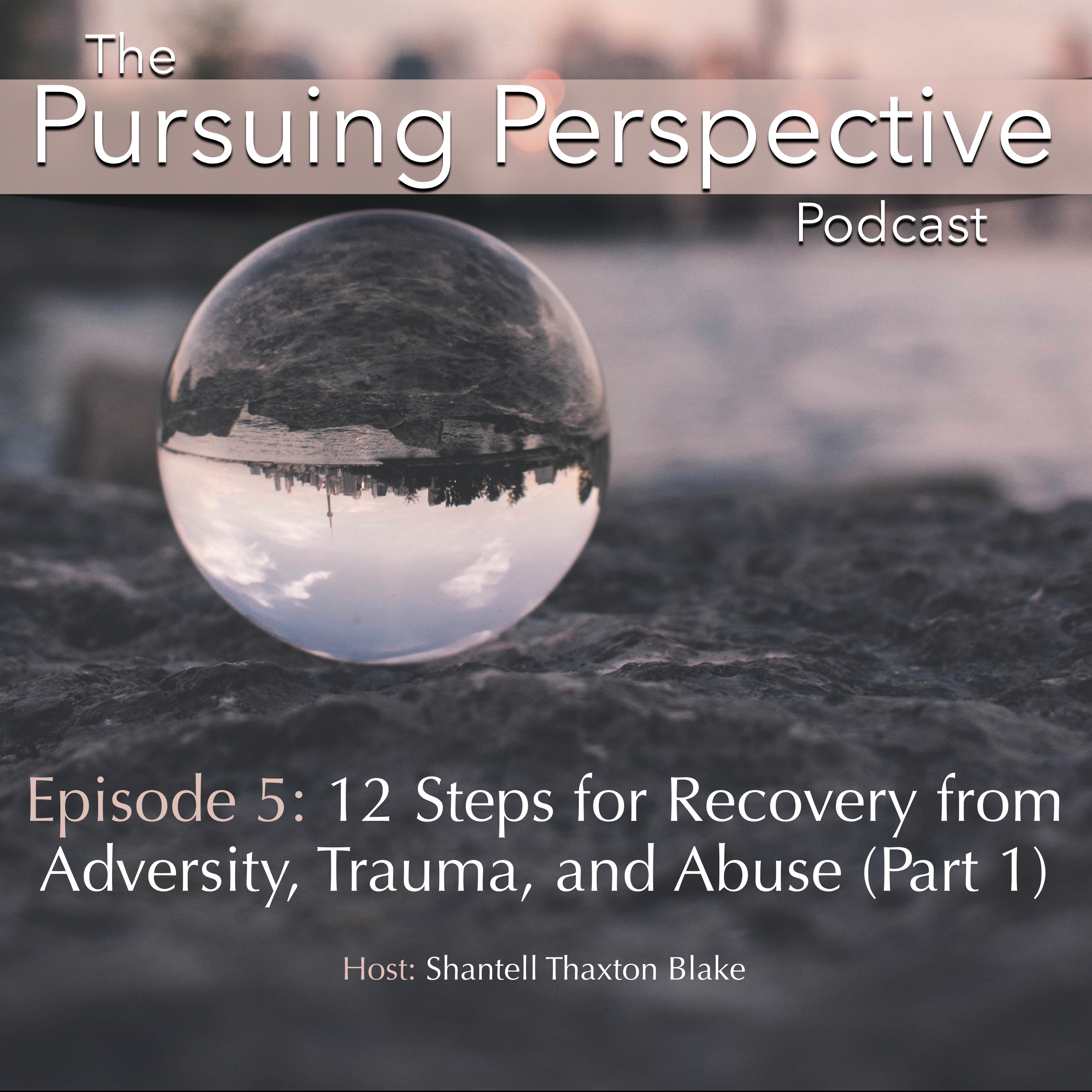 The Pursuing Perspective Podcast