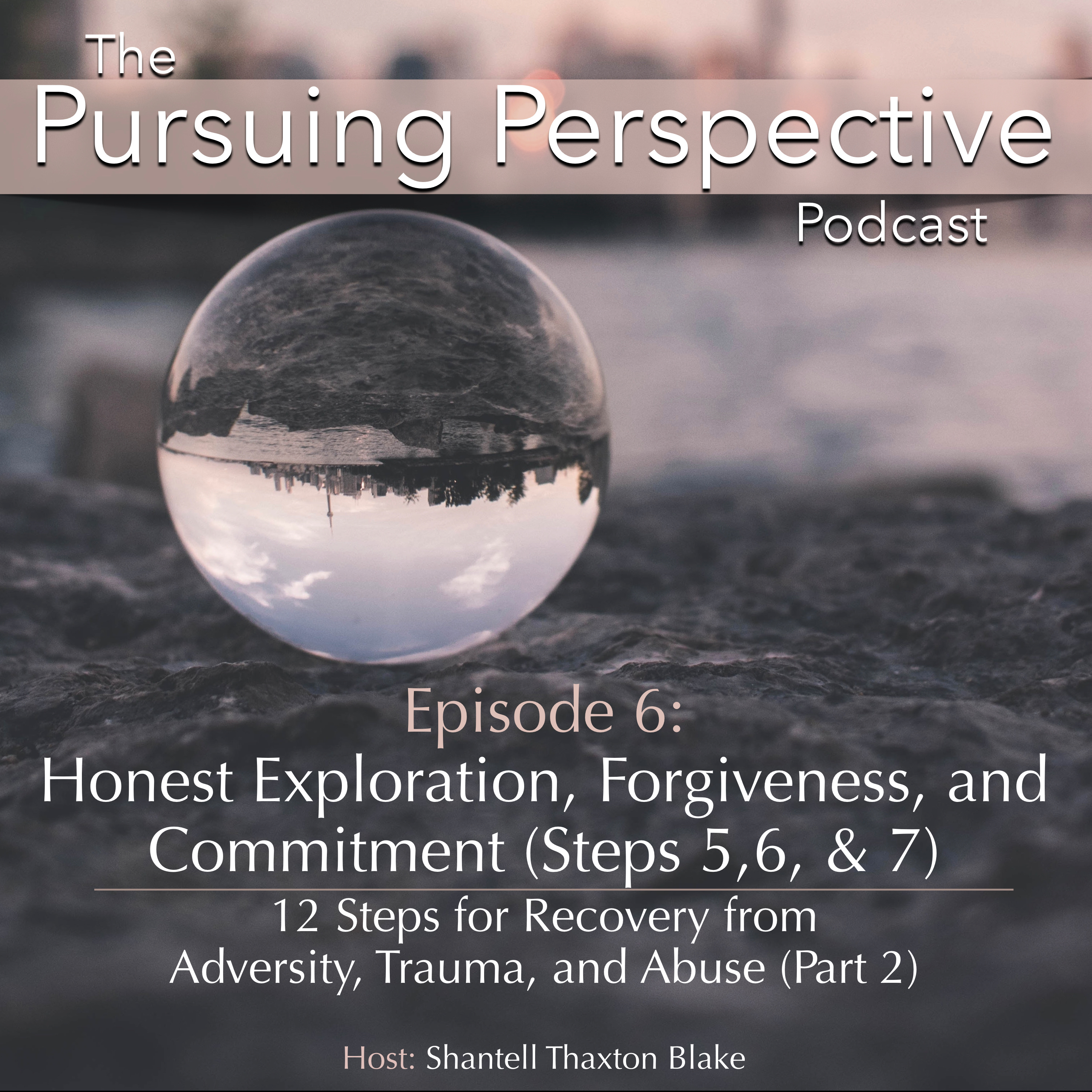 The Pursuing Perspective Podcast