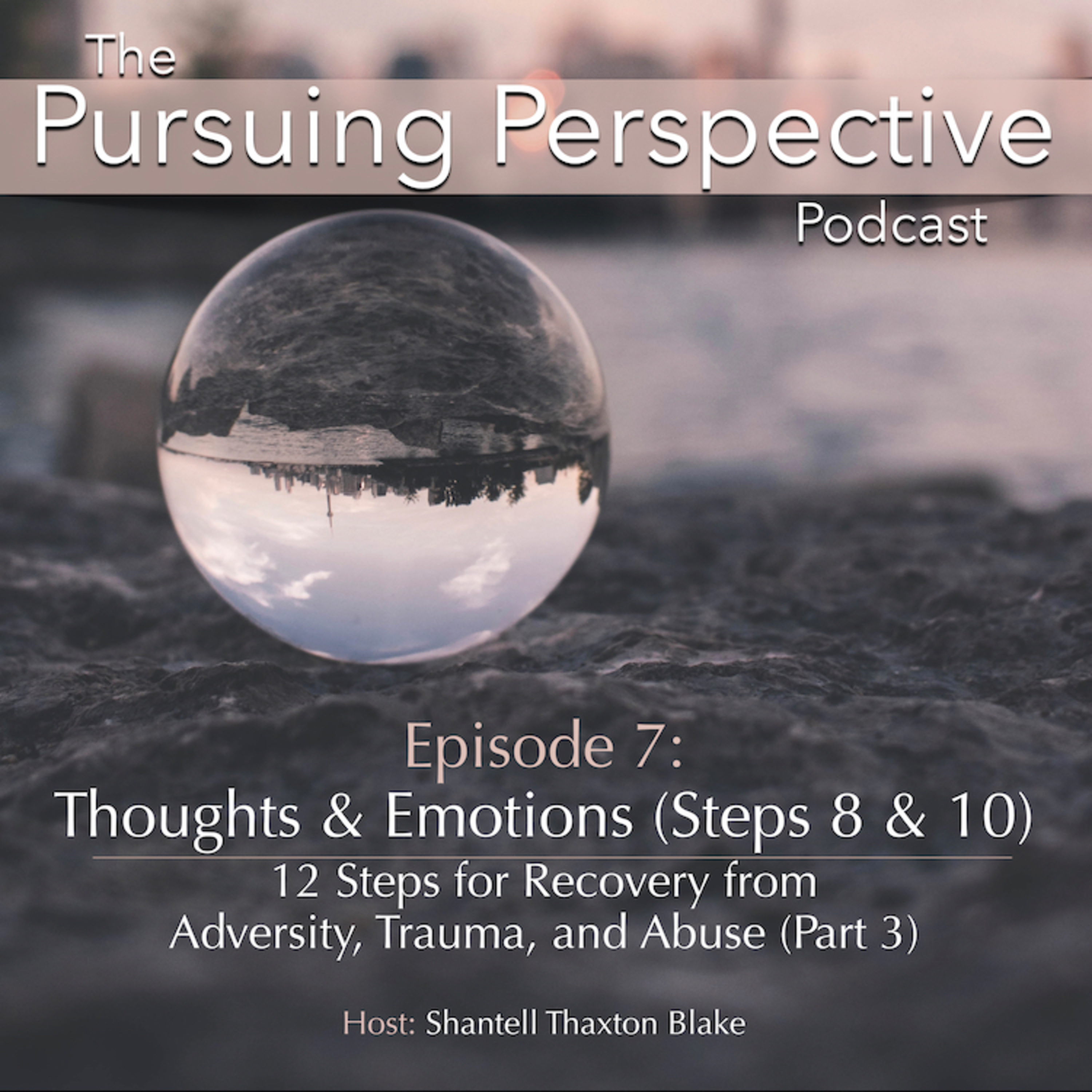 The Pursuing Perspective Podcast