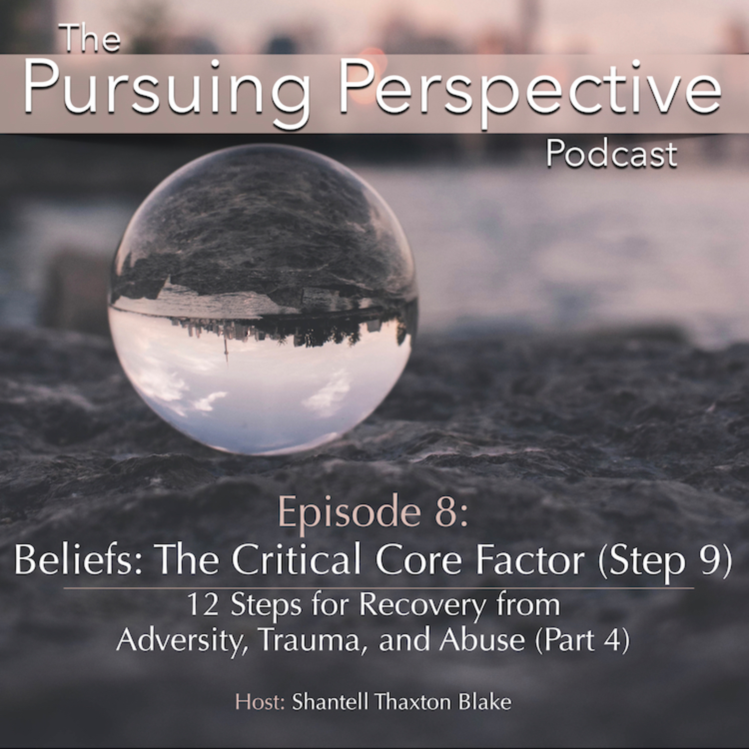 The Pursuing Perspective Podcast