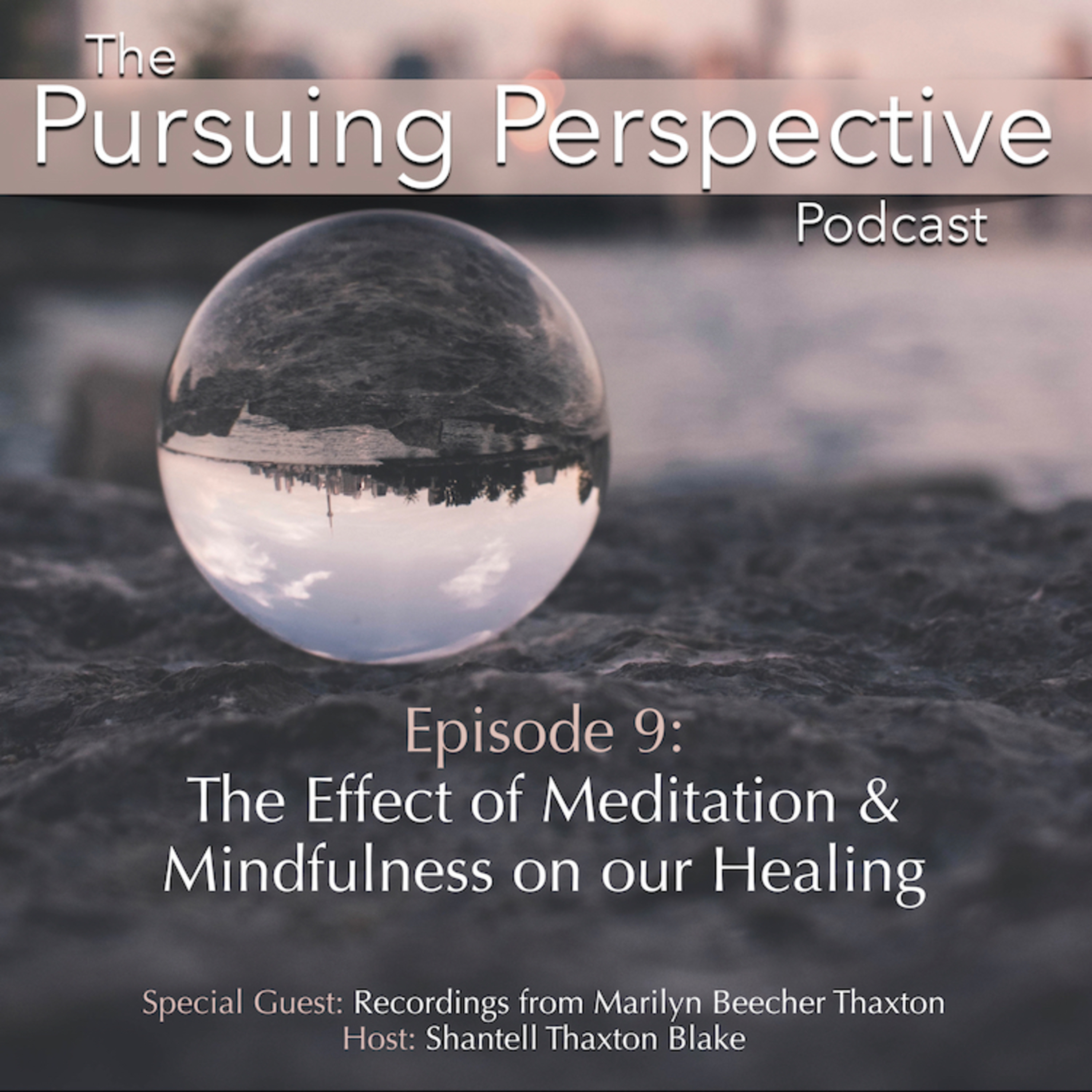 The Pursuing Perspective Podcast