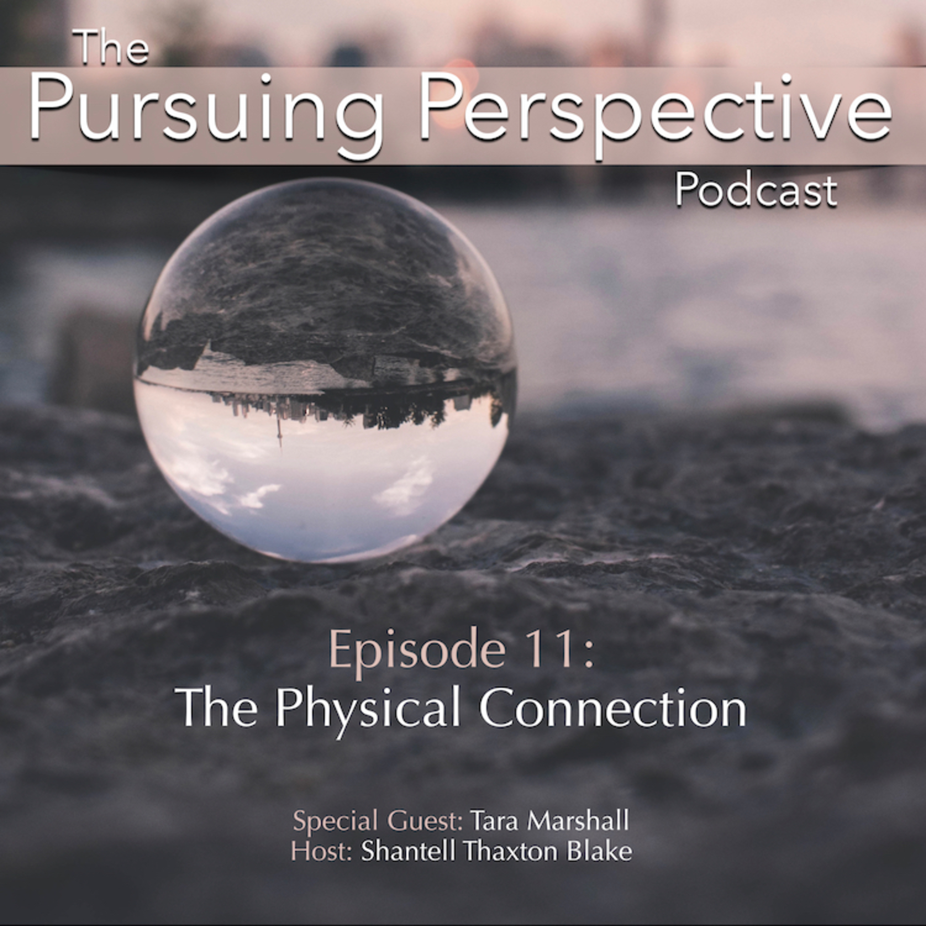 The Pursuing Perspective Podcast