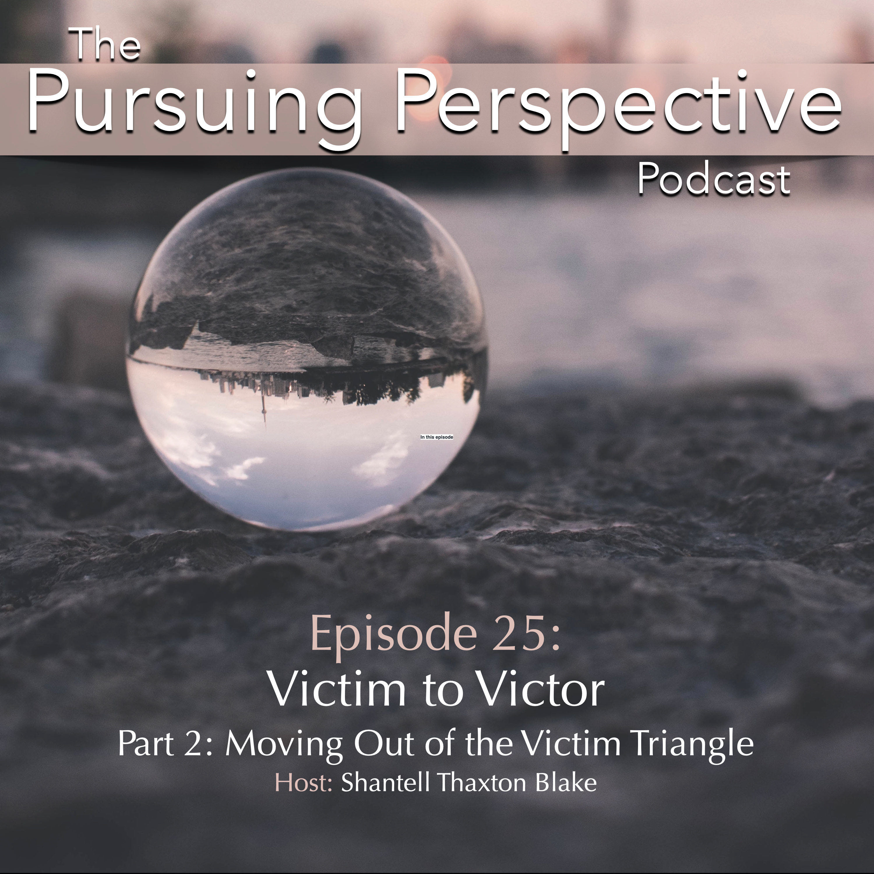 The Pursuing Perspective Podcast