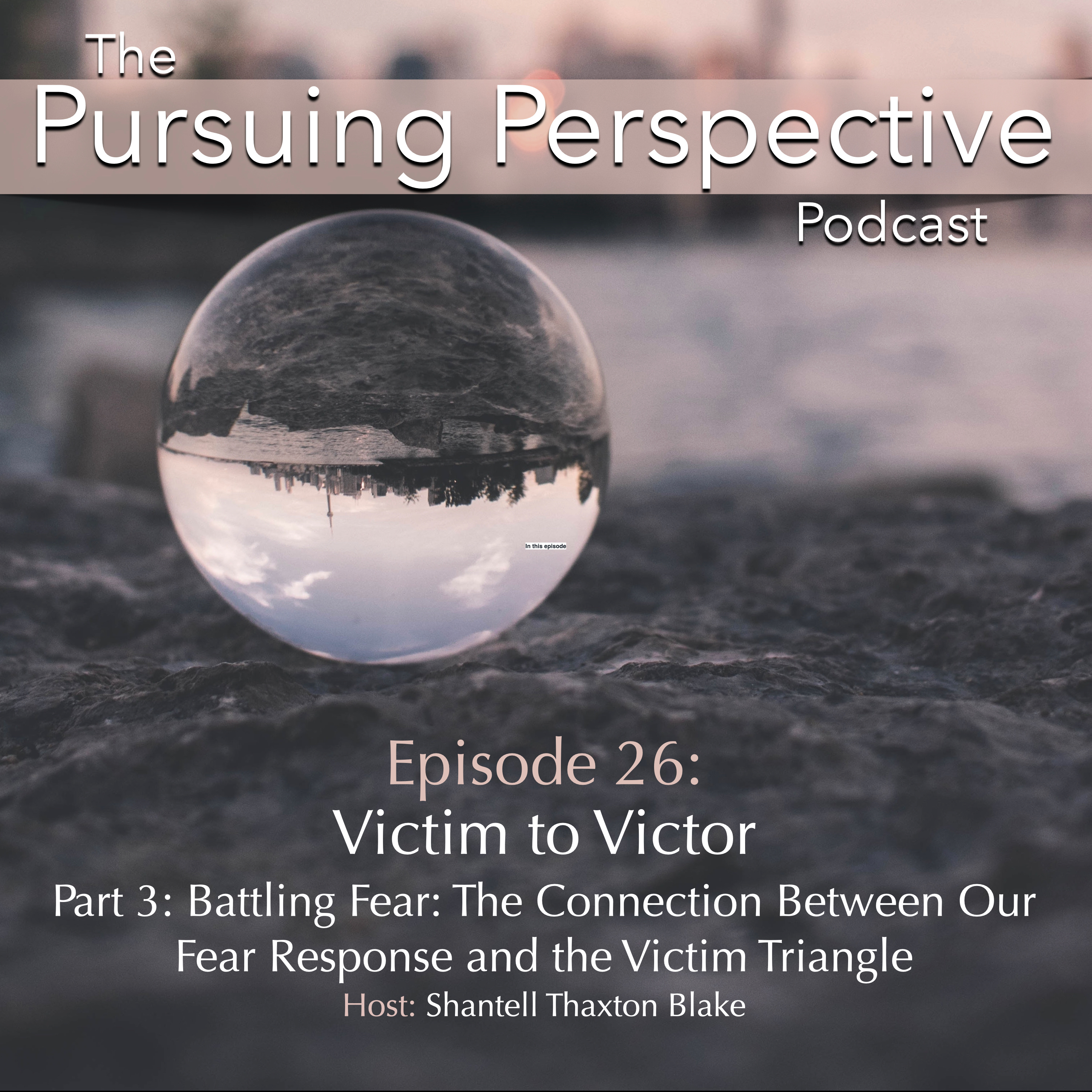 The Pursuing Perspective Podcast