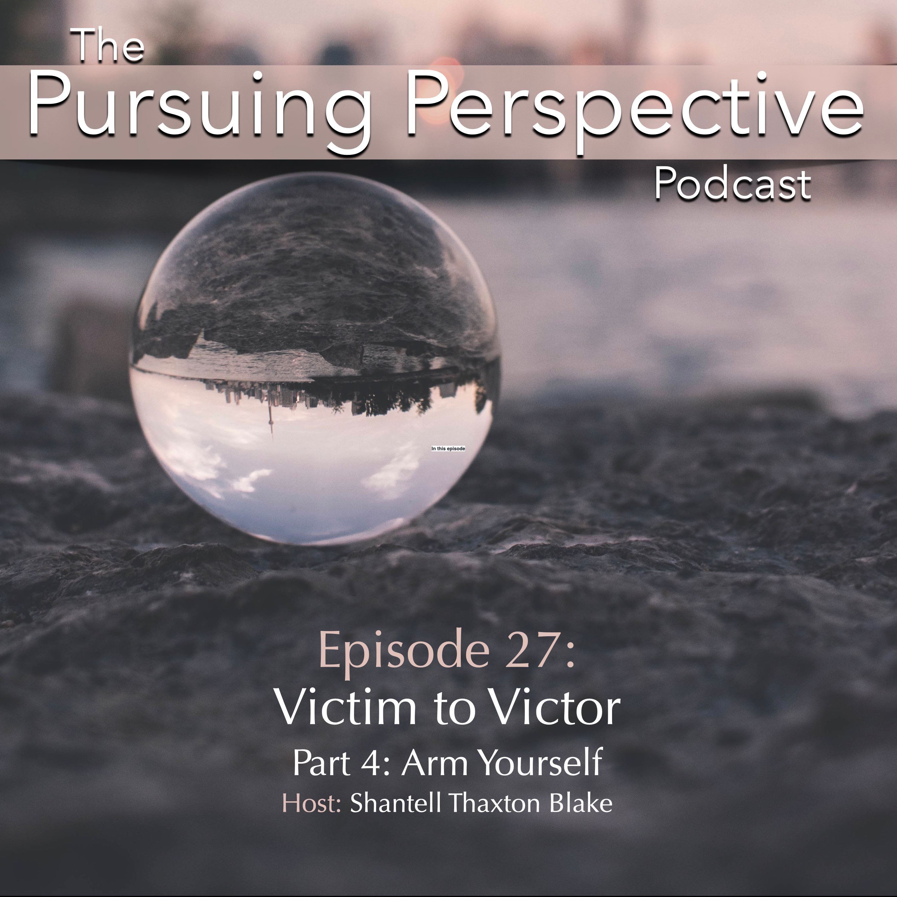 The Pursuing Perspective Podcast