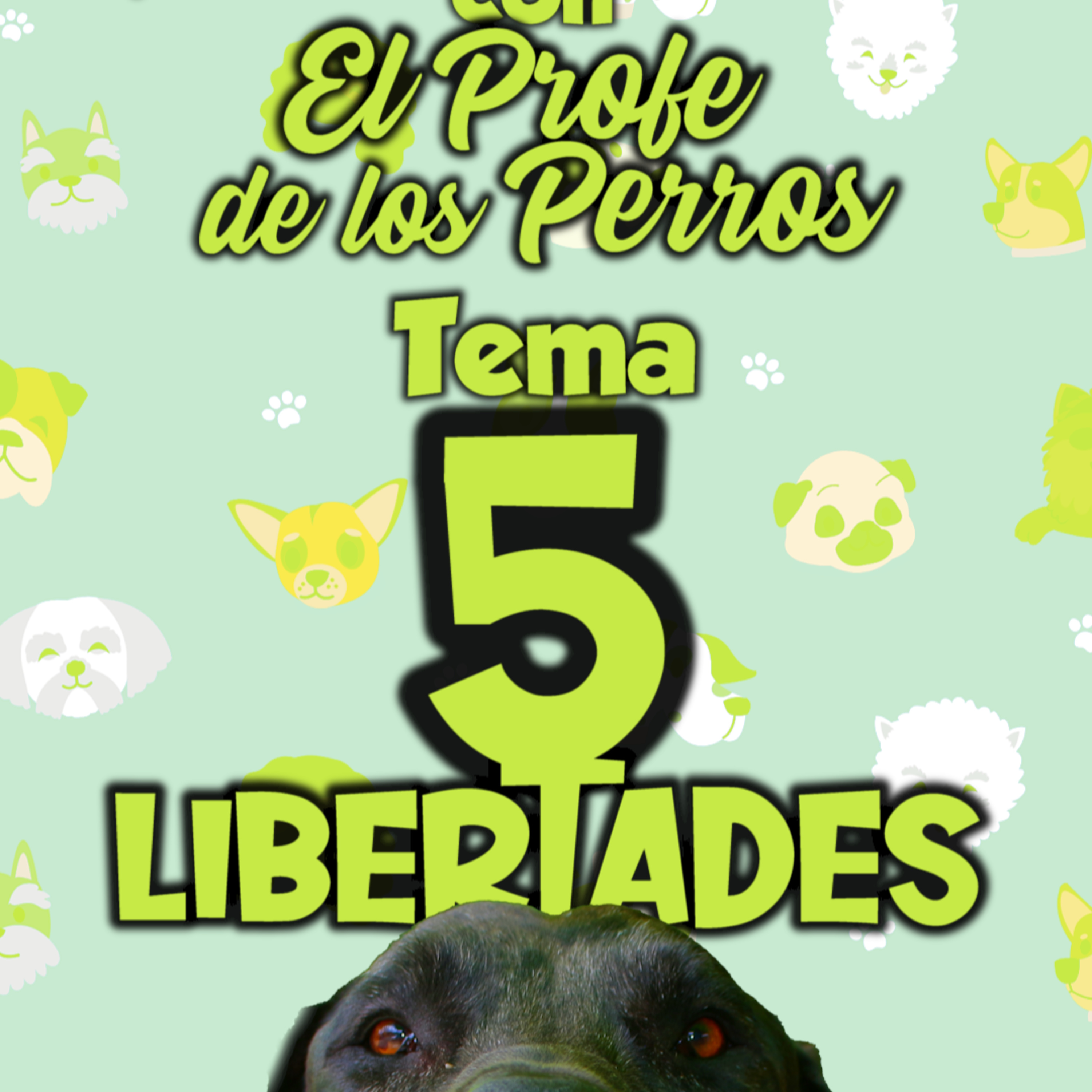 Clases Con #elprofedelosperros