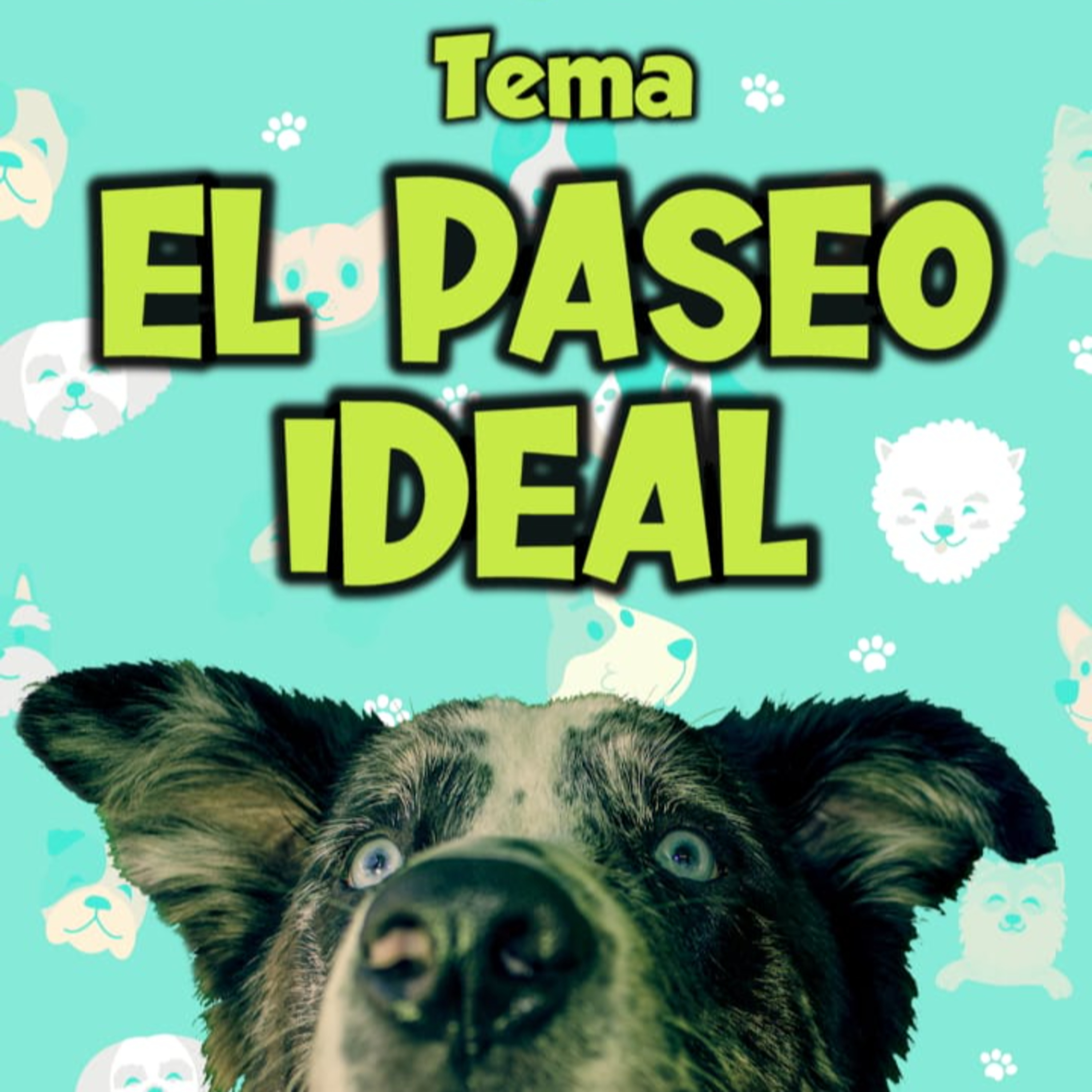 Clases Con #elprofedelosperros