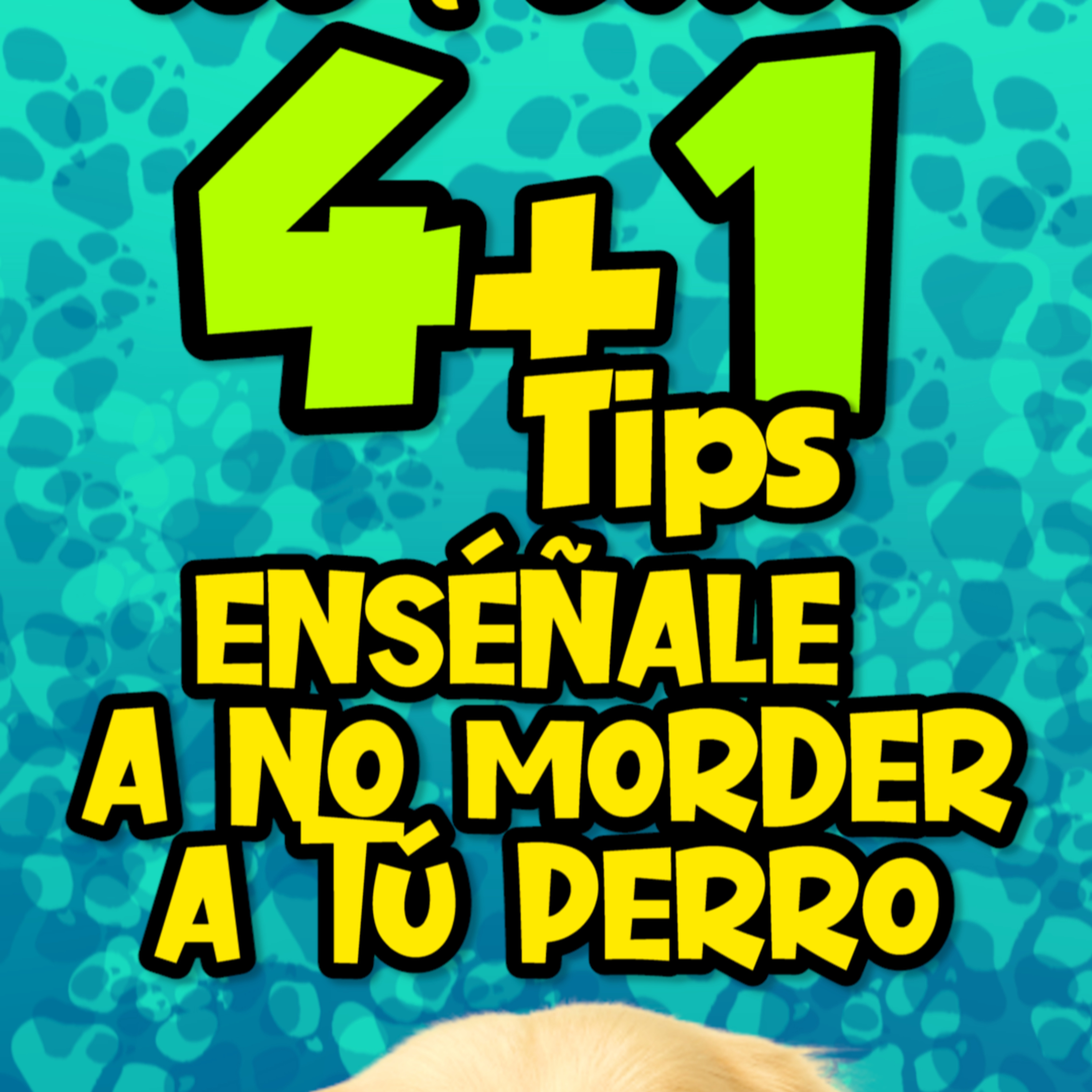 Clases Con #elprofedelosperros