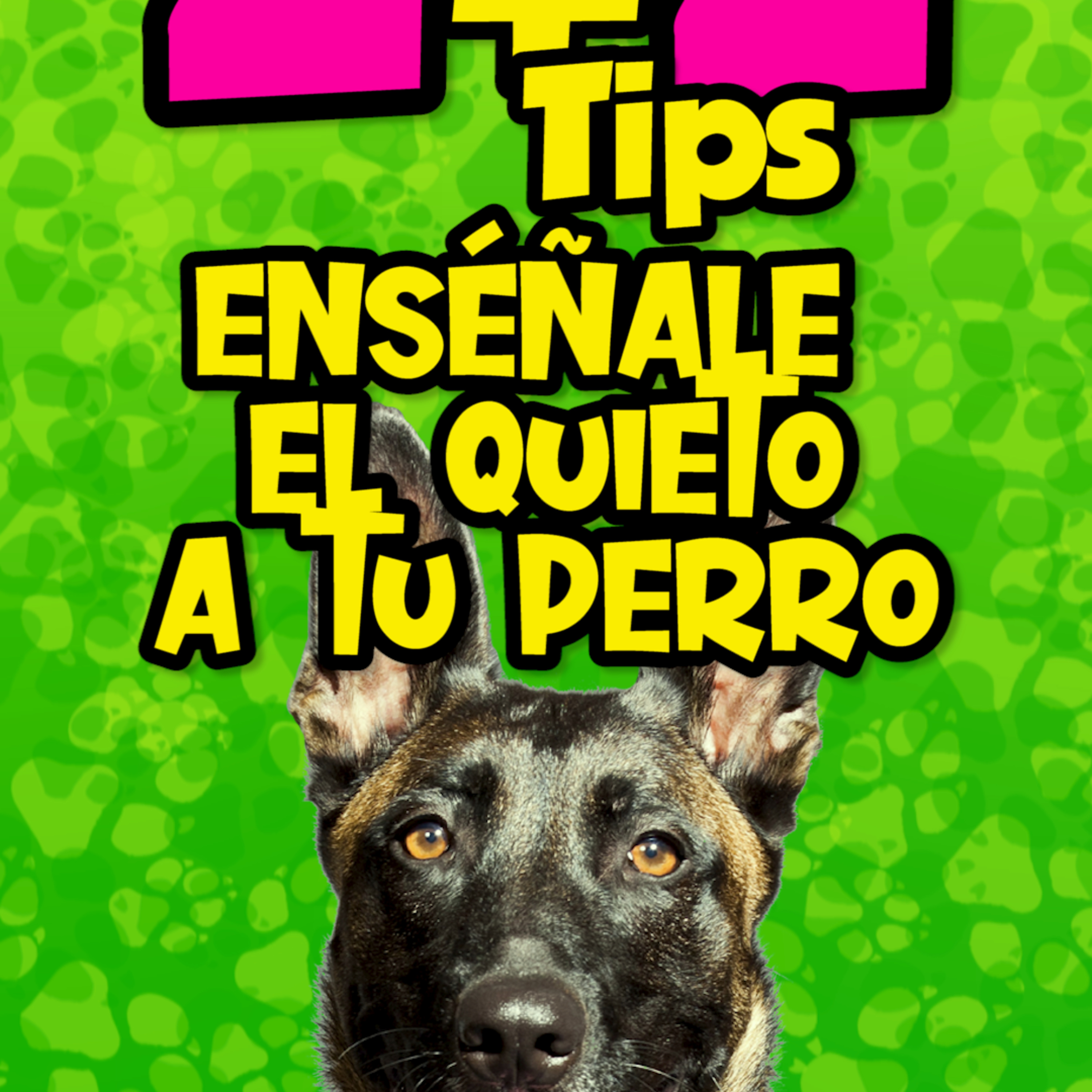 Clases Con #elprofedelosperros