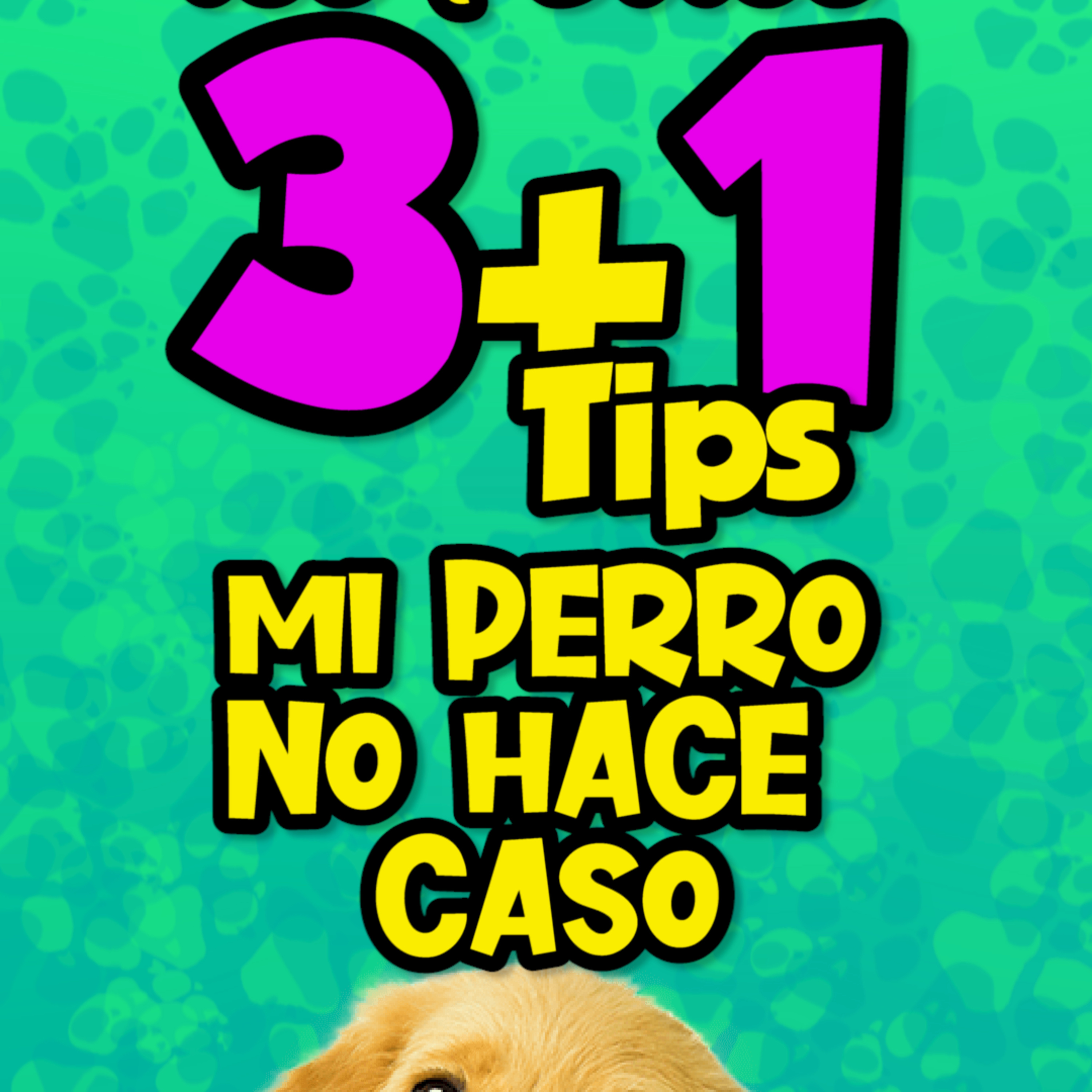 Clases Con #elprofedelosperros