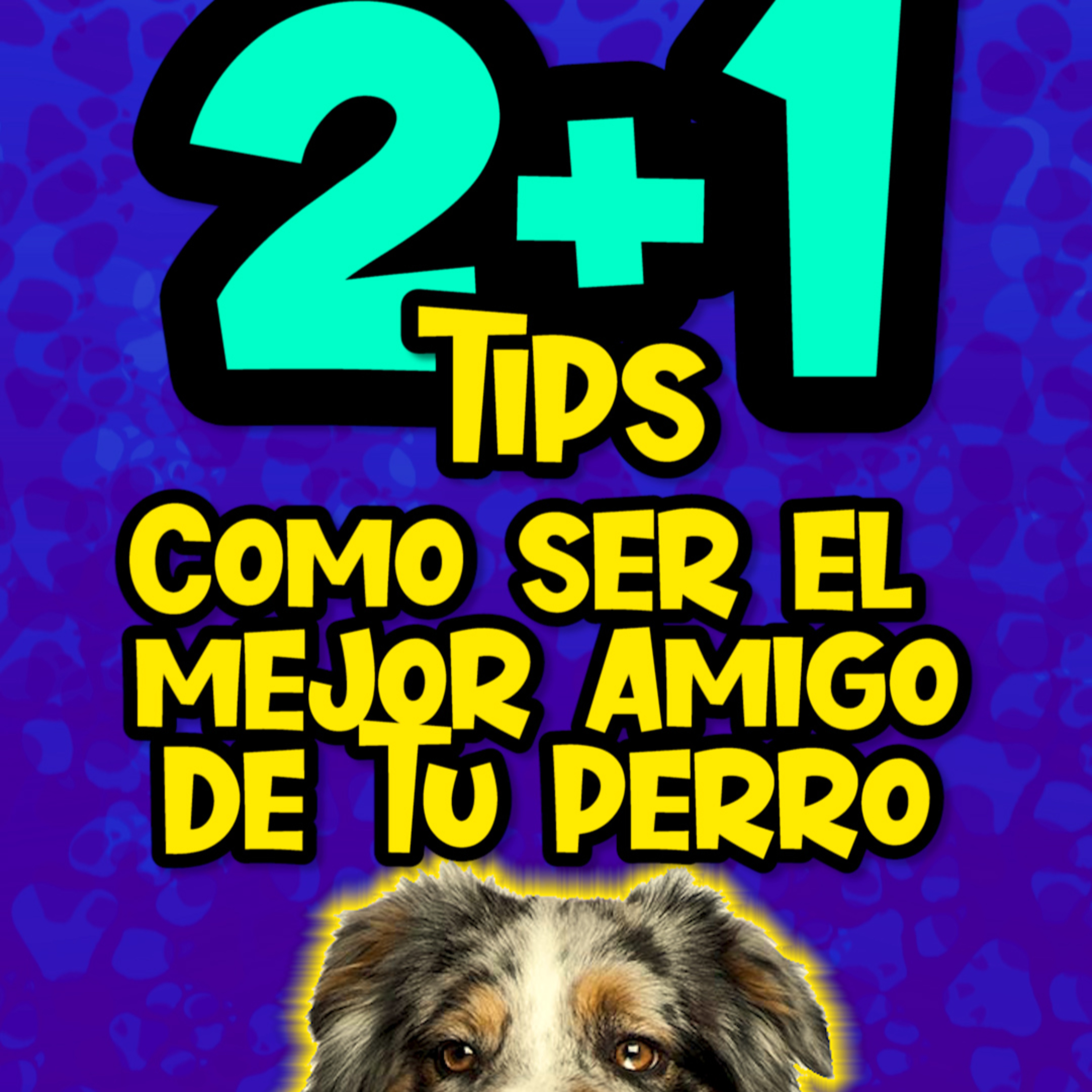 Clases Con #elprofedelosperros