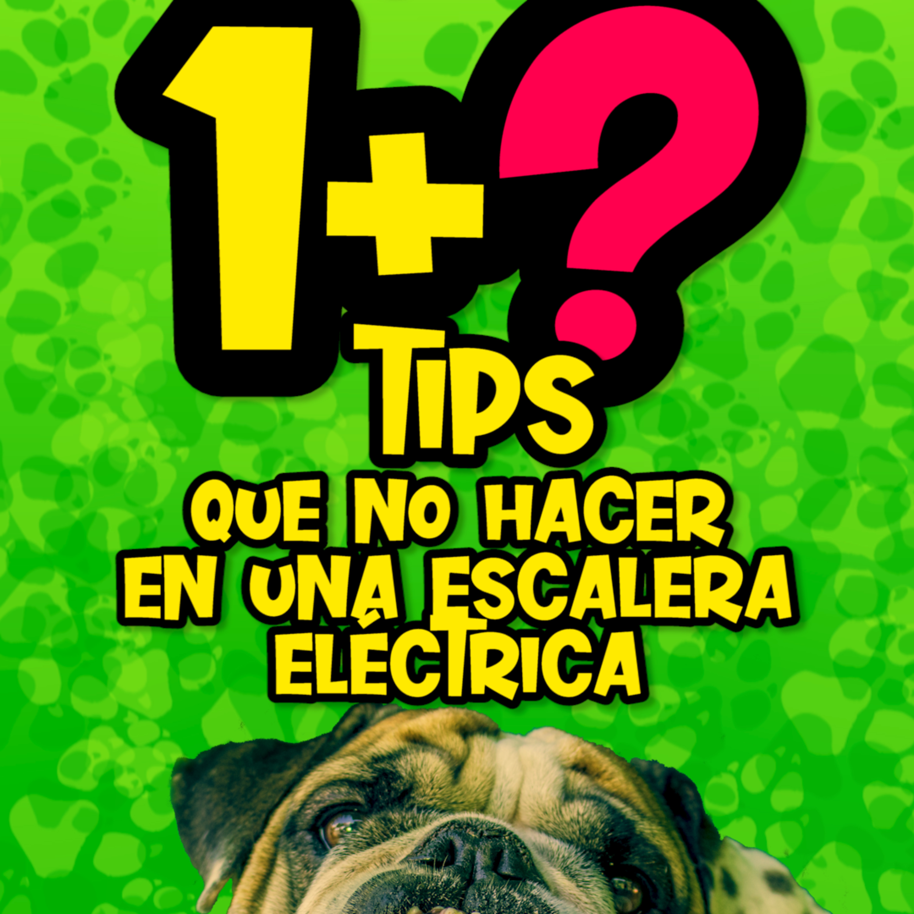Clases Con #elprofedelosperros