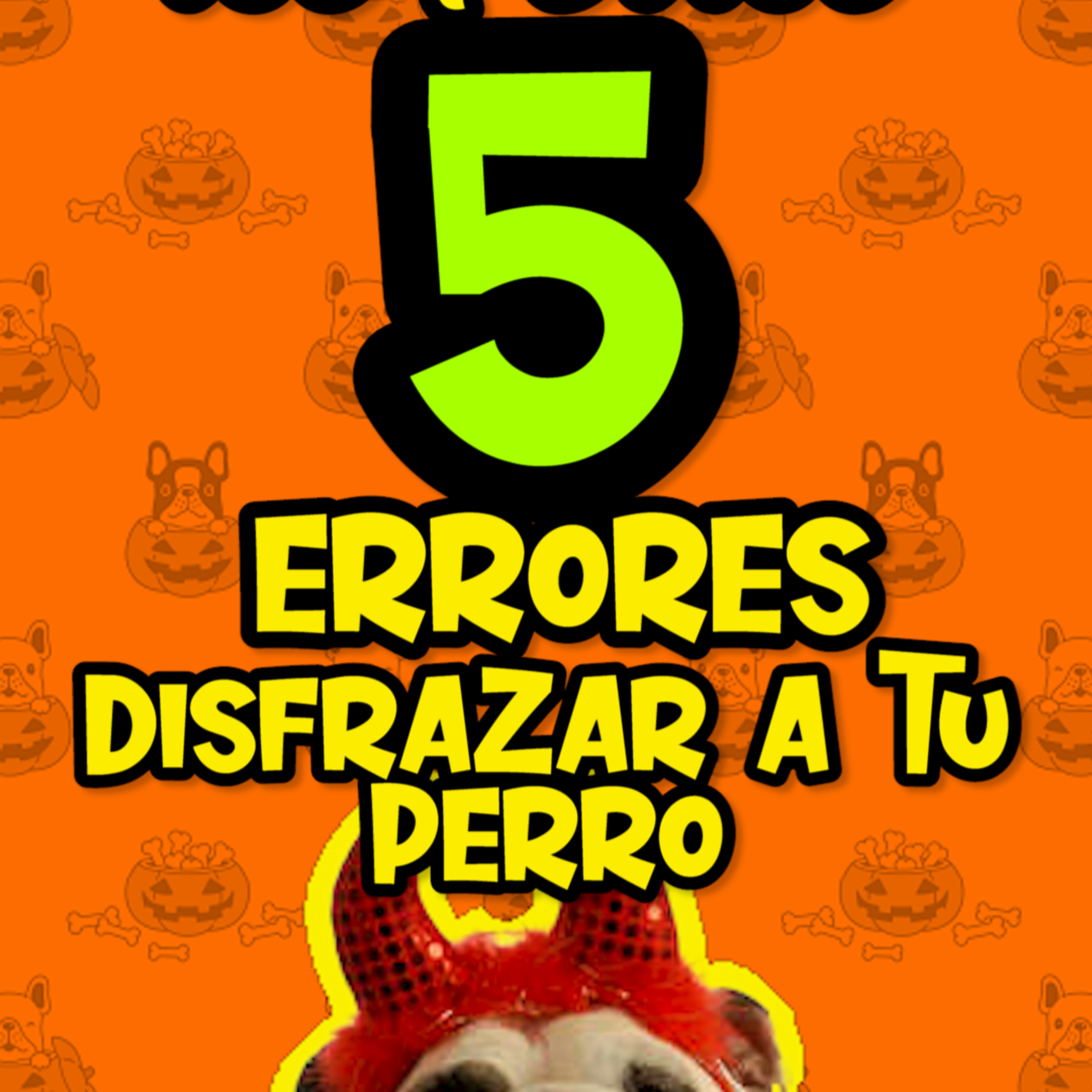 Clases Con #elprofedelosperros