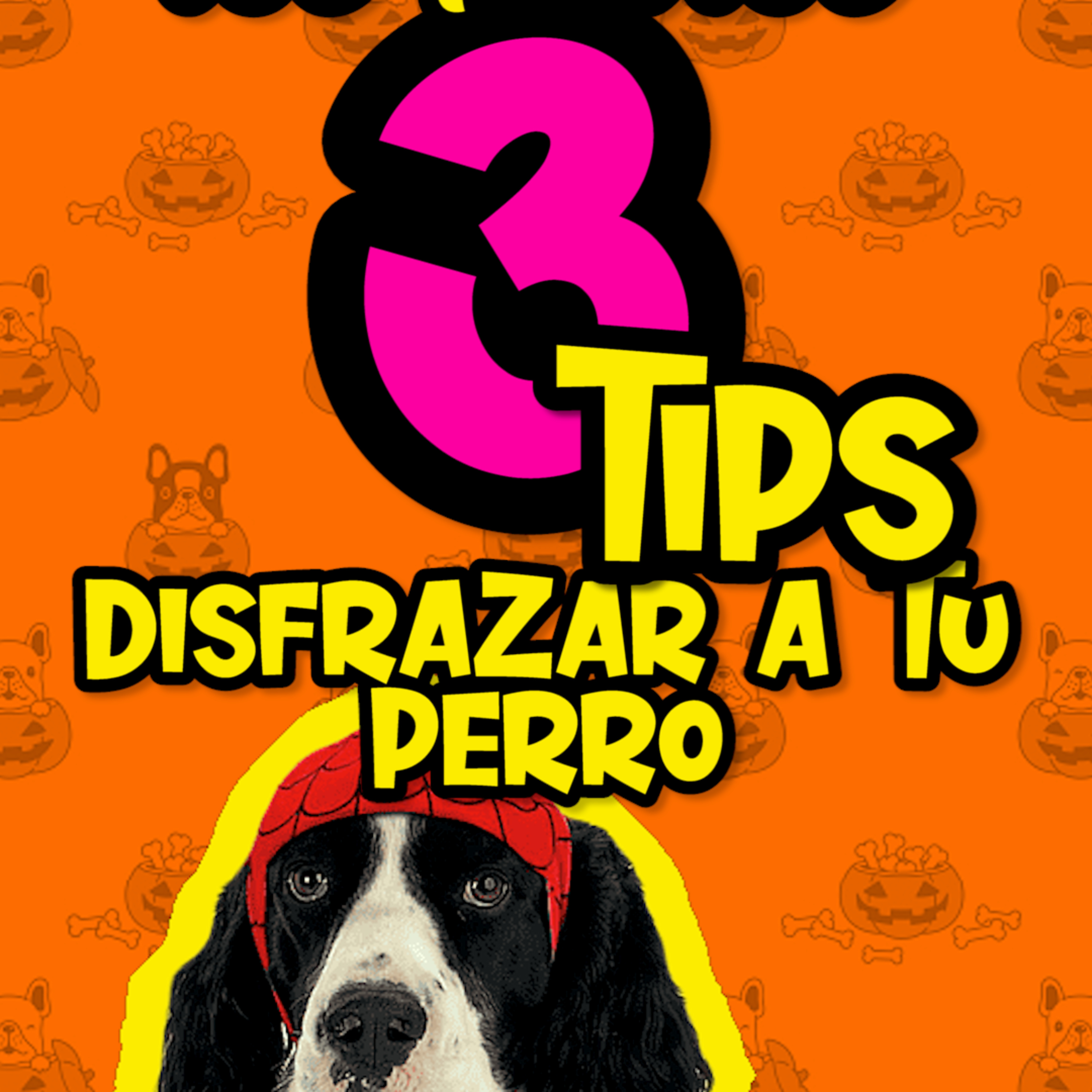 Clases Con #elprofedelosperros