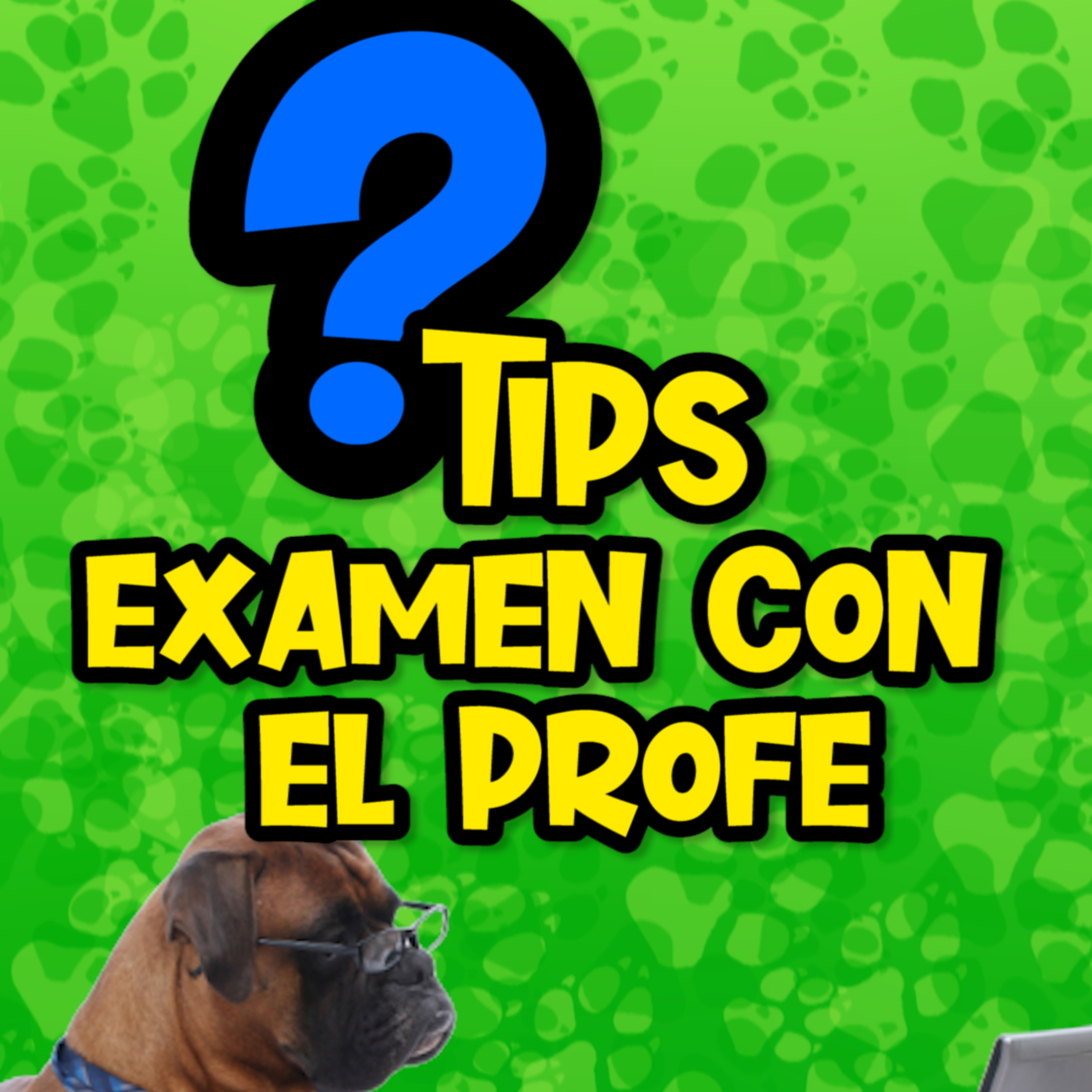 Clases Con #elprofedelosperros