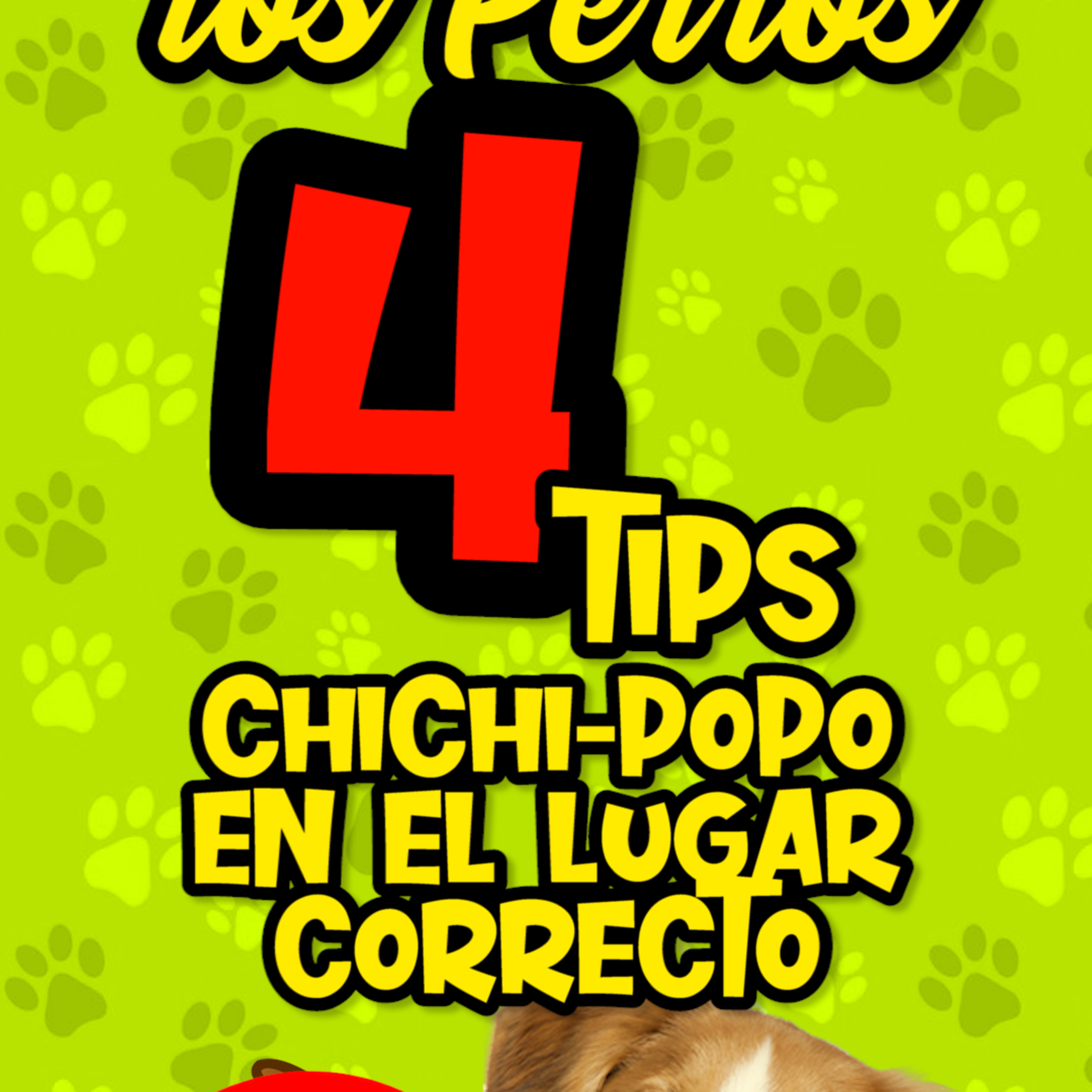 Clases Con #elprofedelosperros