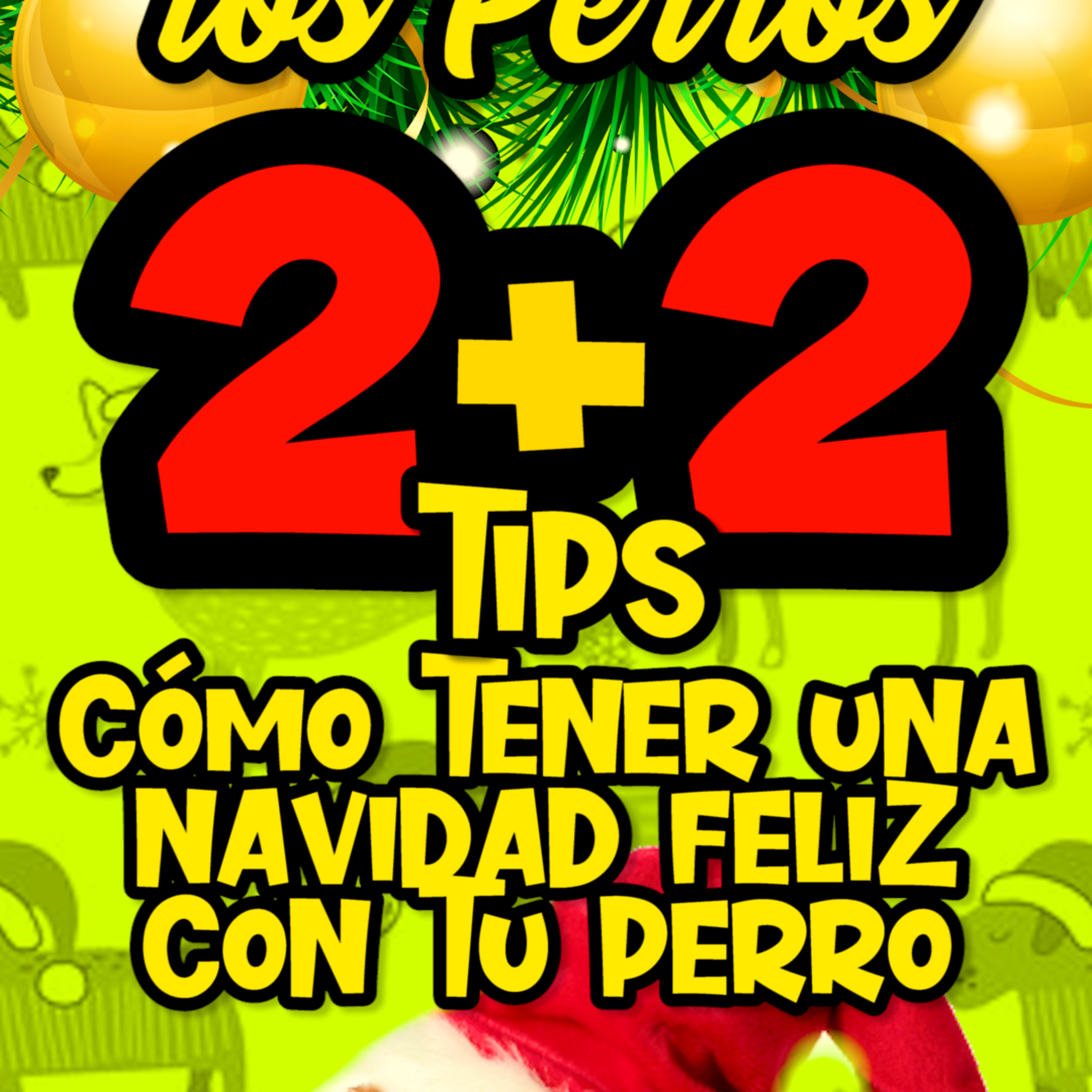 Clases Con #elprofedelosperros