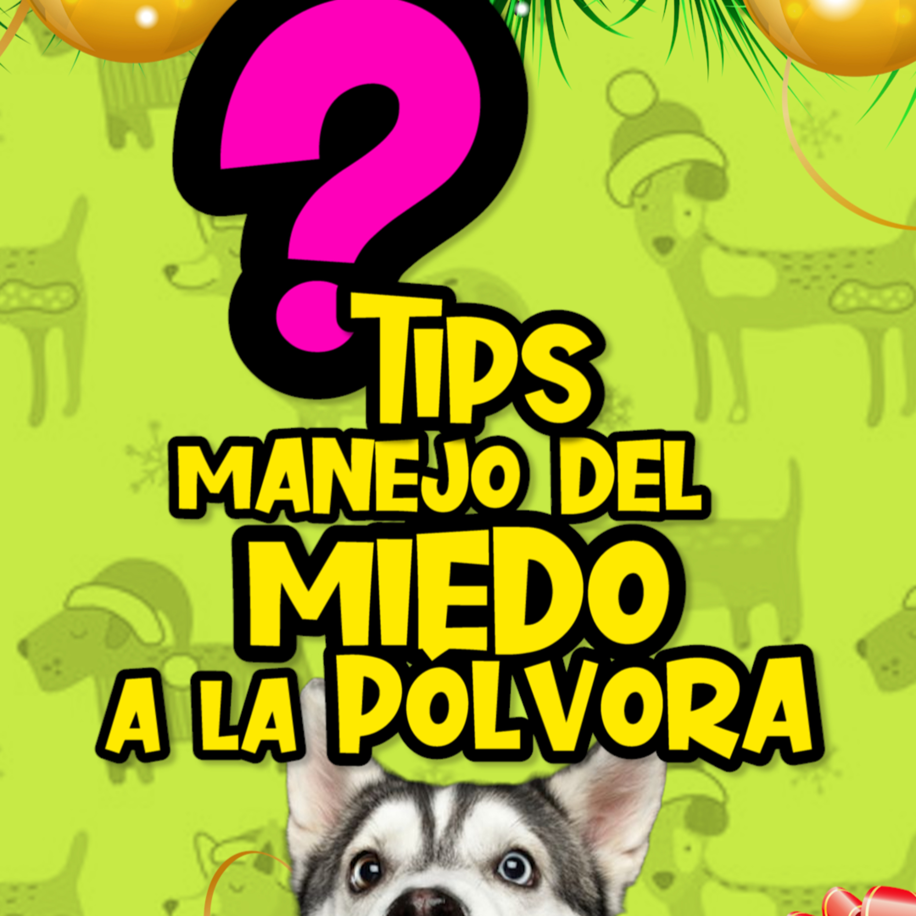 Clases Con #elprofedelosperros