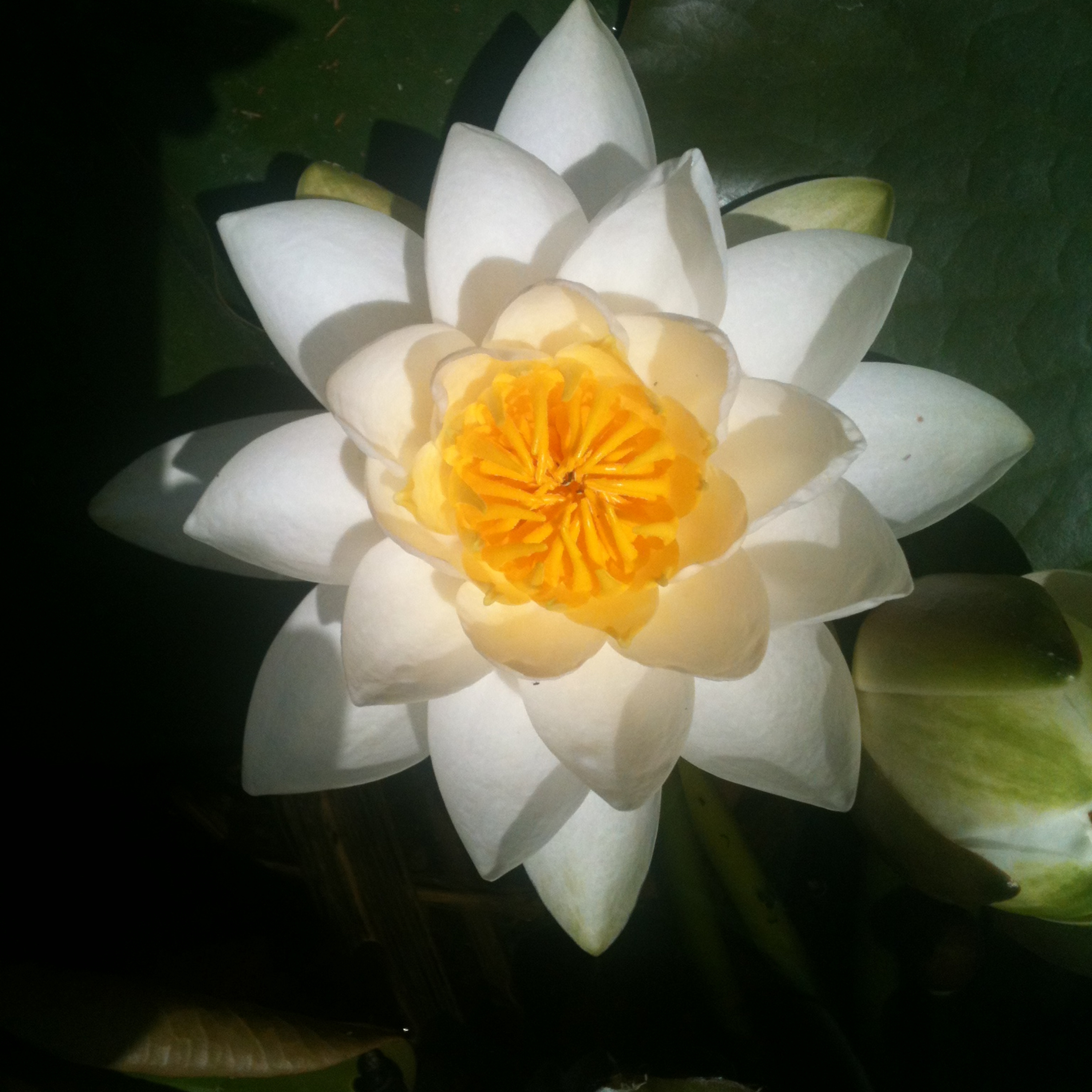 Weisheiten, Meditation und Geschichten