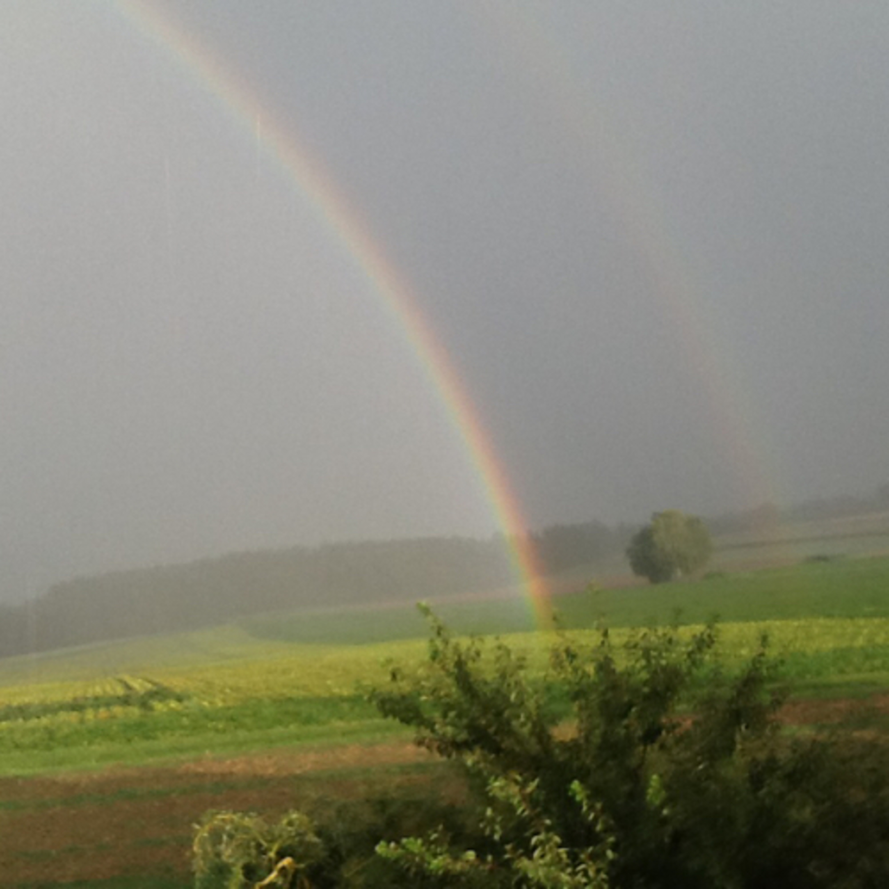 Weisheiten, Meditation und Geschichten